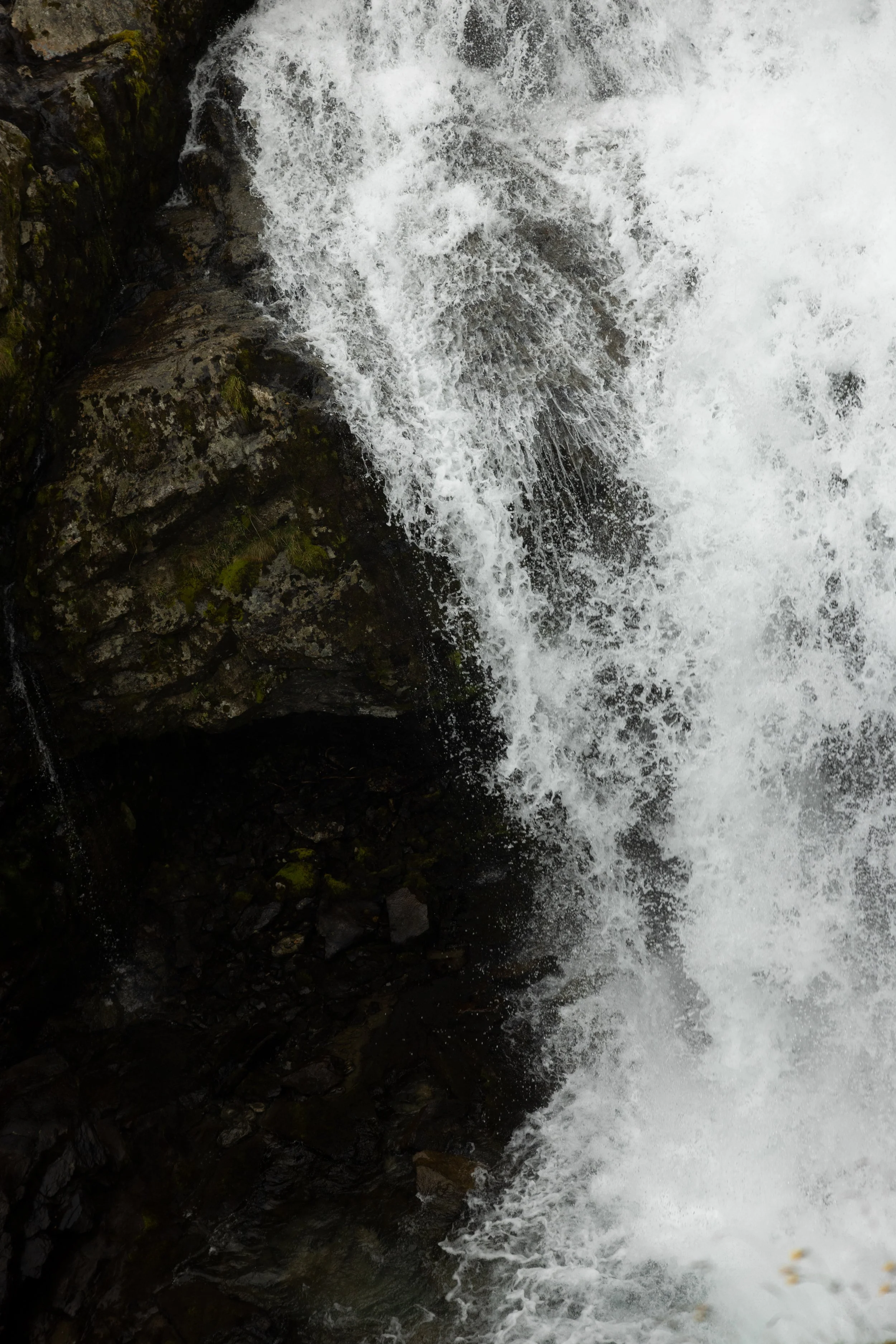 W_R51481.jpg