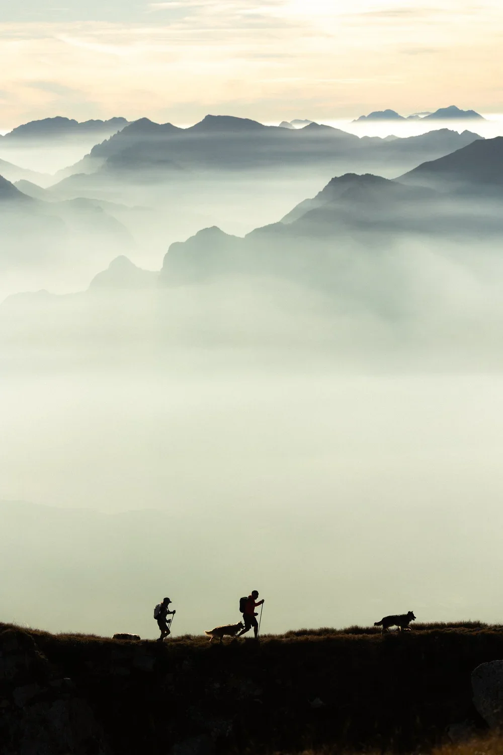 Silhouettes of two hikers and two dogs walking on a mountain trail with fog-covered mountains in the background.