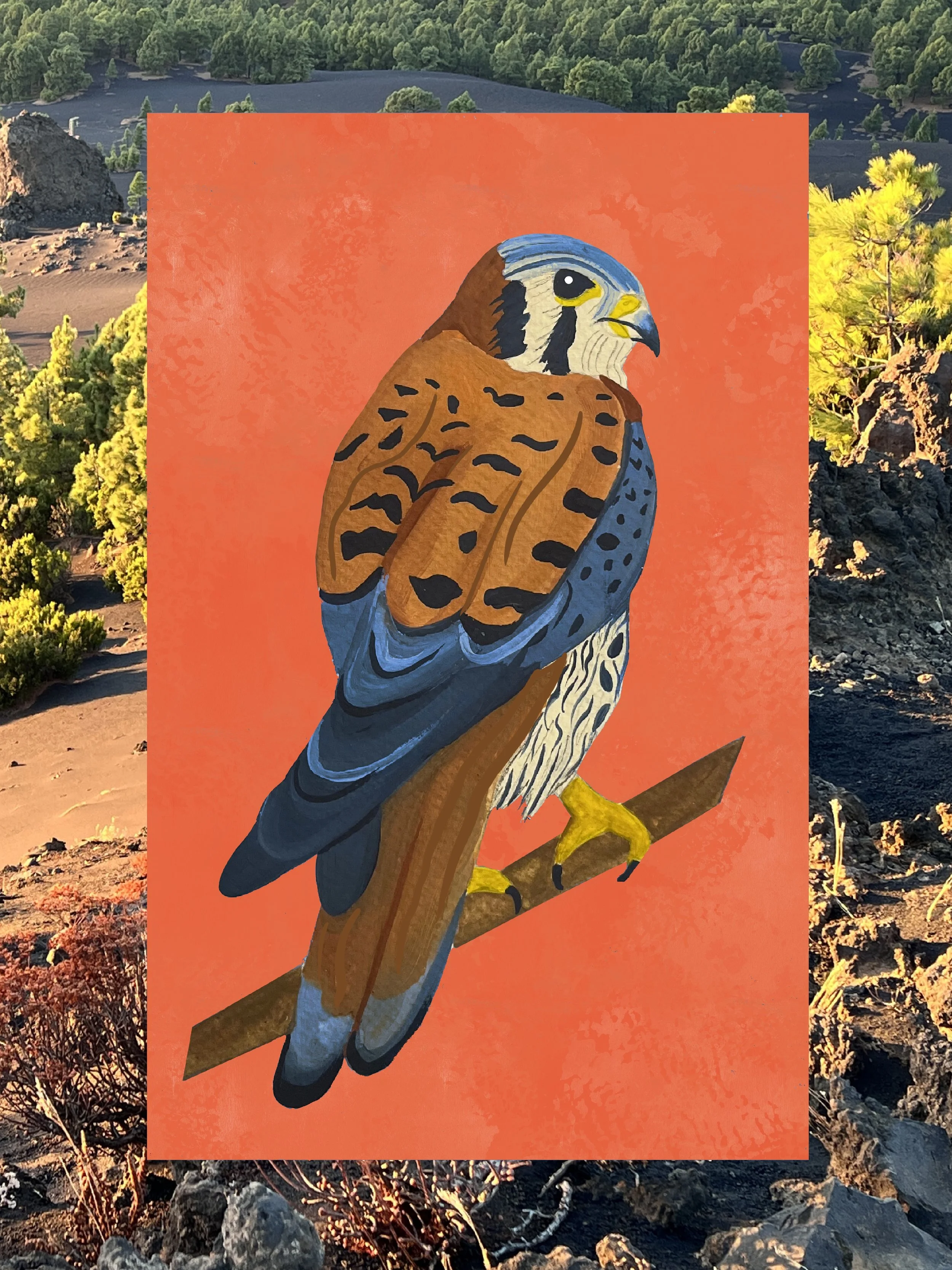 A digital illustration of a bird with brown, black, and blue feathers, perched on a branch against an orange background.