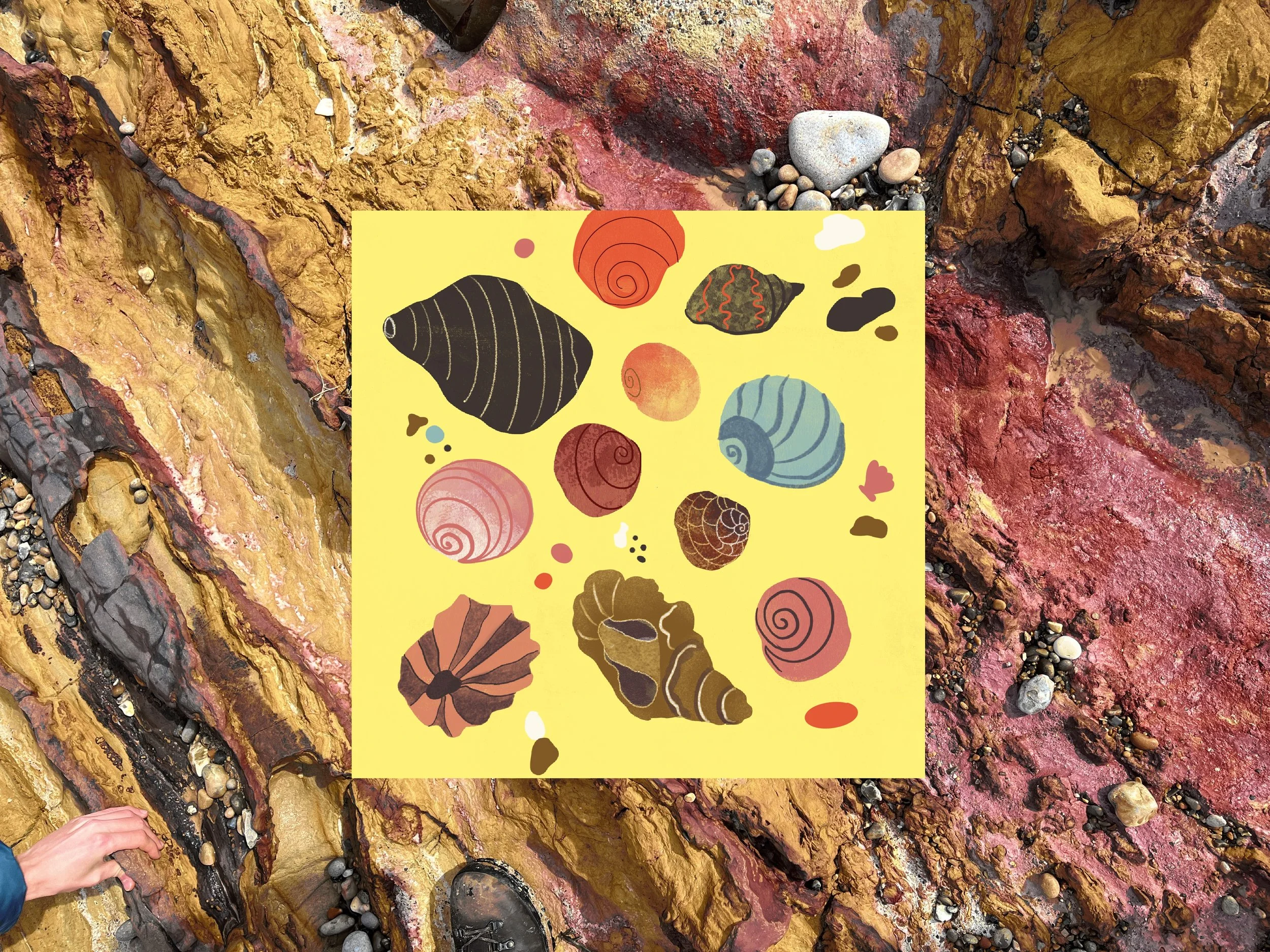 A person with a pinkish hand is touching or pointing at rocks on a colorful, rugged rock formation at a beach, with water and small pebbles surrounding the rocks.