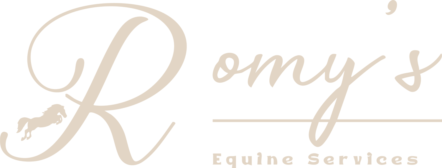 Romy’s Equine Services