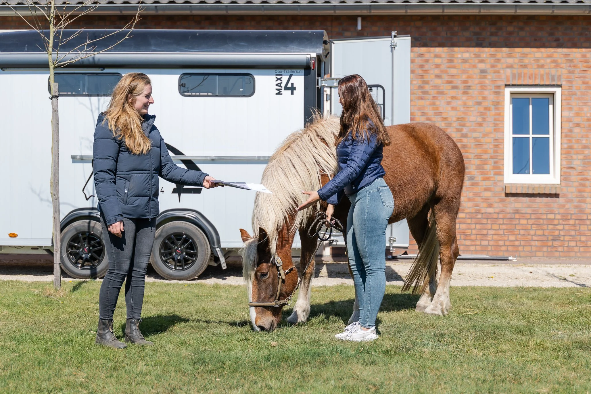 Belangrijke update voor paardeneigenaren en vervoerders &nbsp;