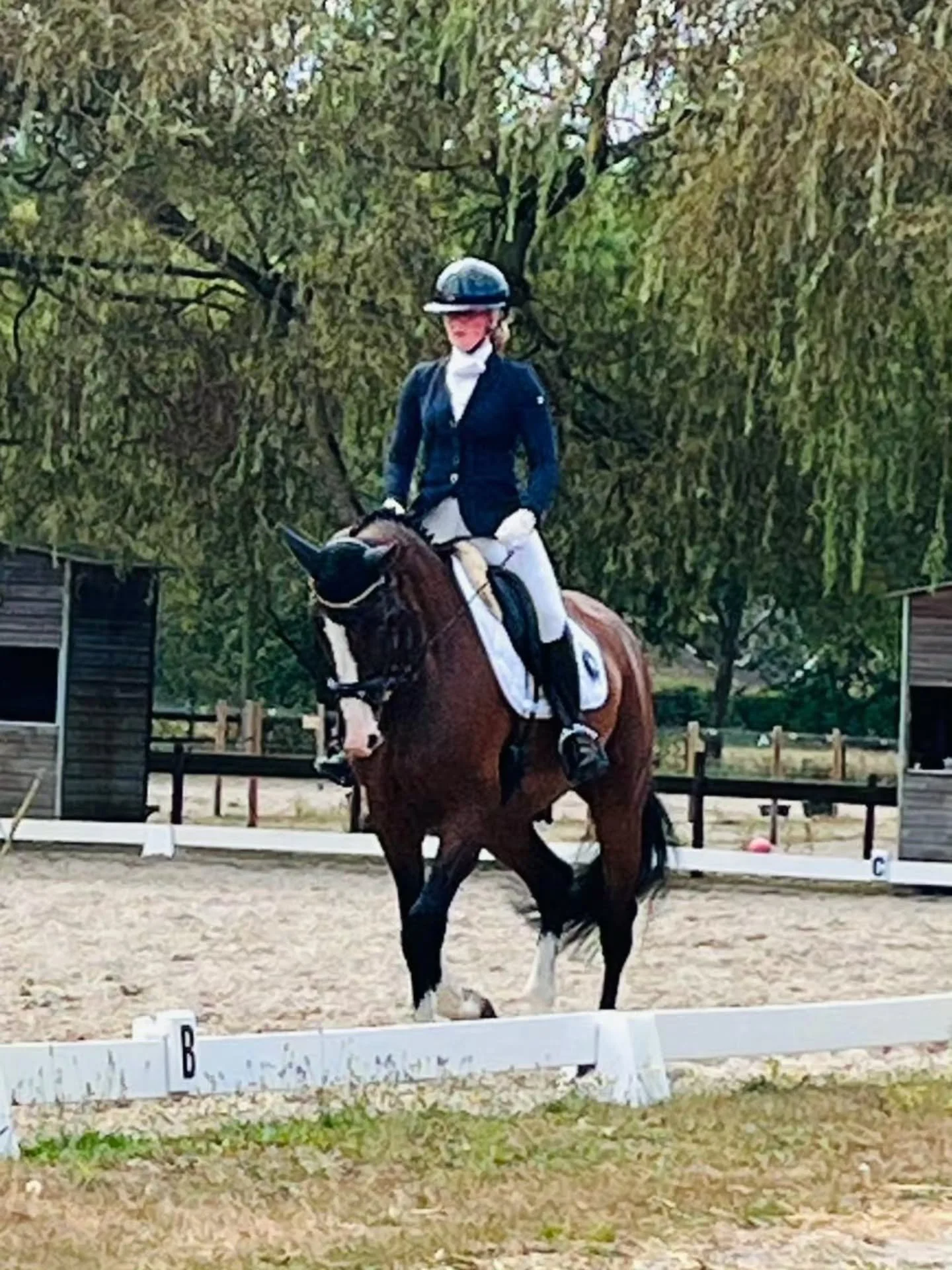 Vandaag weer eens na jaren een dressuurproef gereden.

Resulteerde in een mooie 2e plaats met 64% en een 1e plaats met 64.5%. 🥇🥈

Smaakt naar meer 😉💪

--

After years we rode a dressage test again.

Resulted into a 2nd place with 64% and a 1st pl