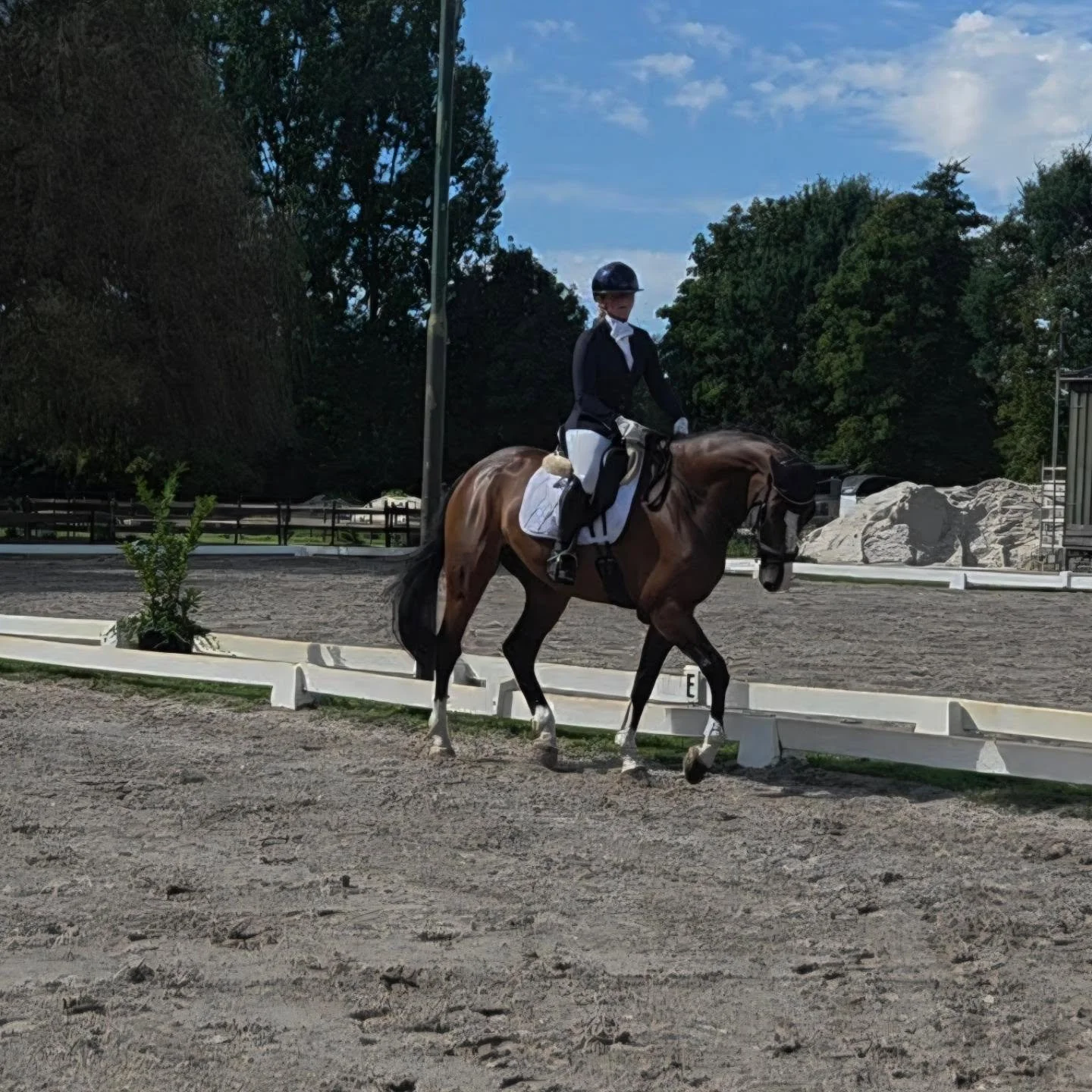 Zo trots op lieve Midnight! 🖤🐴 
Vandaag zijn tweede dressuurwedstrijd en alweer 2x de 1e prijs mee naar huis! 🏆🏆 
68,5% en 68,83%. Topper! ❤️✨