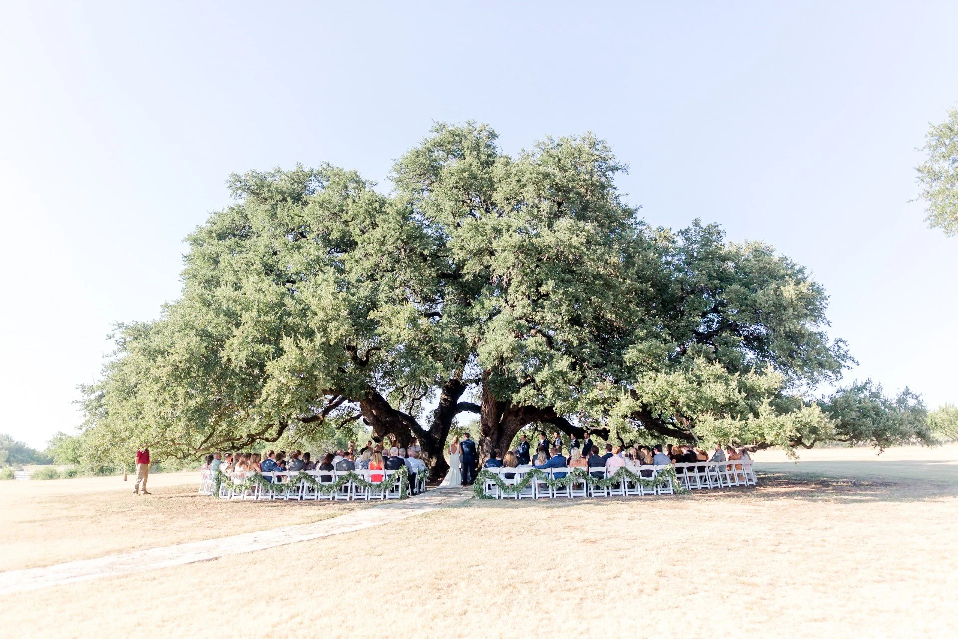 Outdoor wedding ceremony under a large tree with guests seated in white chairs, some standing, on a grassy field on a sunny day.