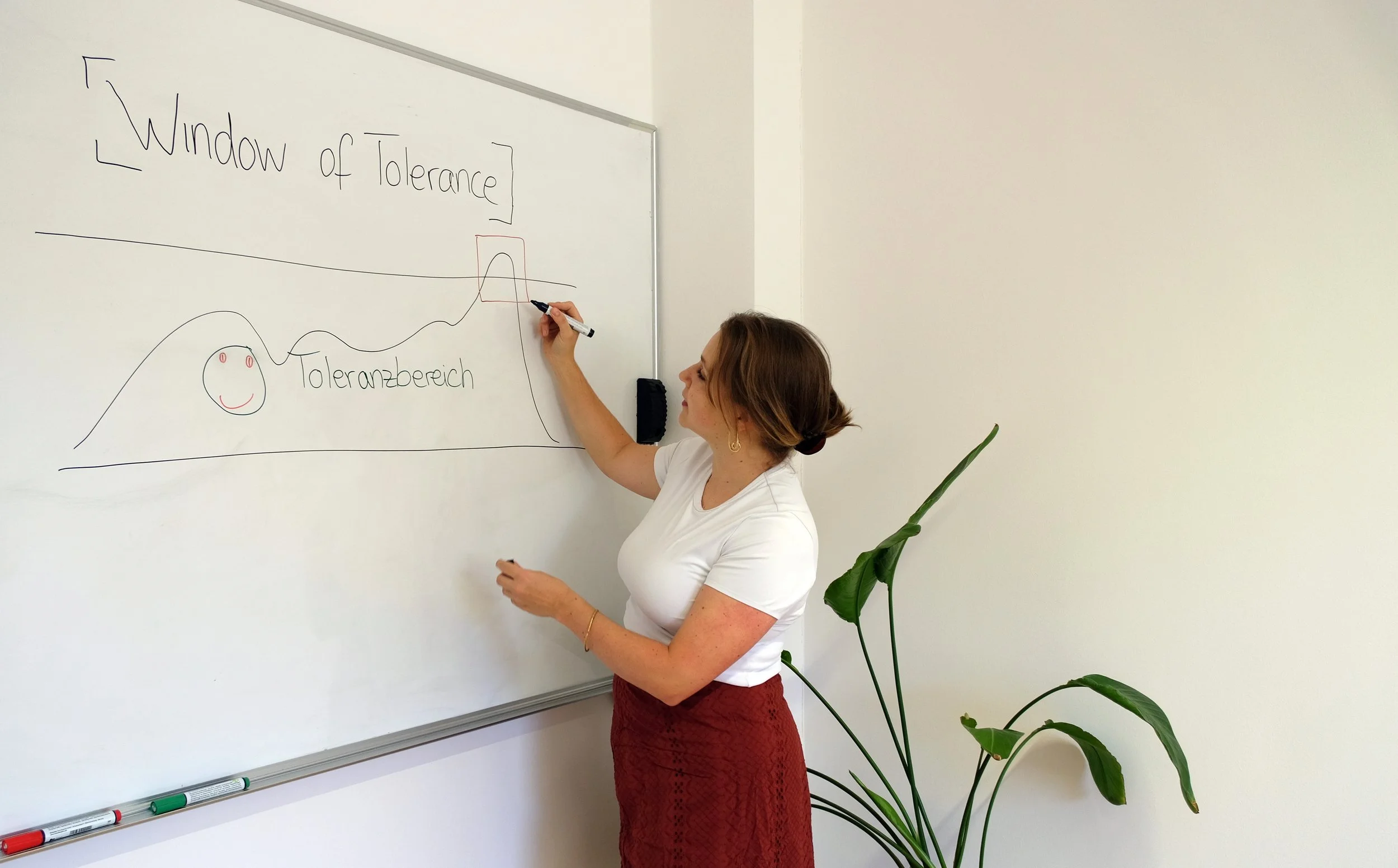Eine Frau schreibt auf eine weiße Tafel, auf der das Wort "Window of Tolerance" und die Begriffe "Toleranzbereich" mit einem Diagramm zu sehen sind.