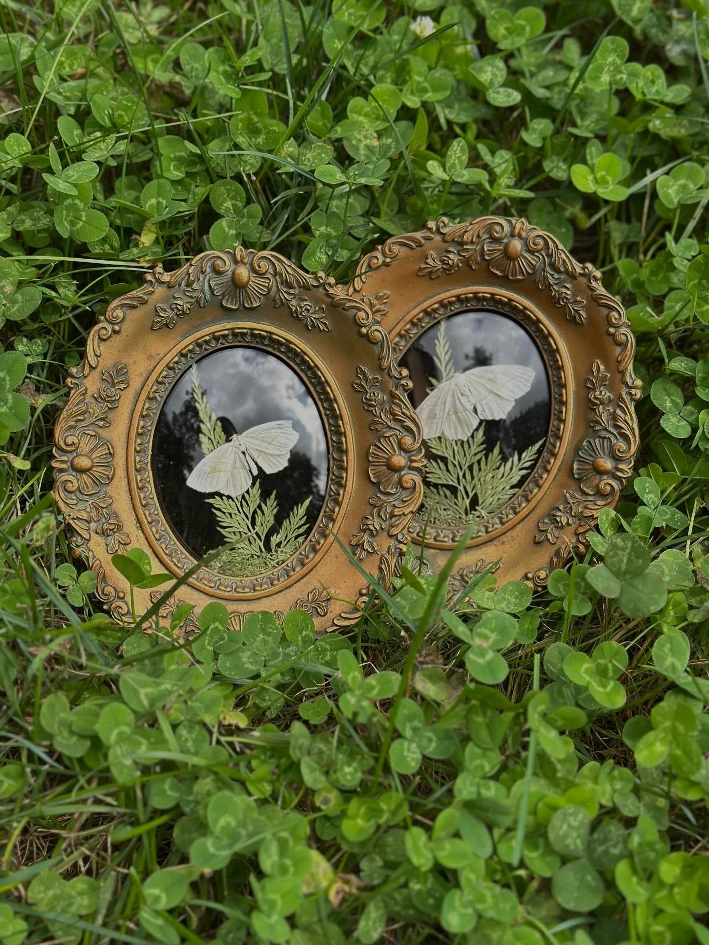 some framed pieces i've been making for the upcoming fall market season &deg;❀⋆.ೃ࿔