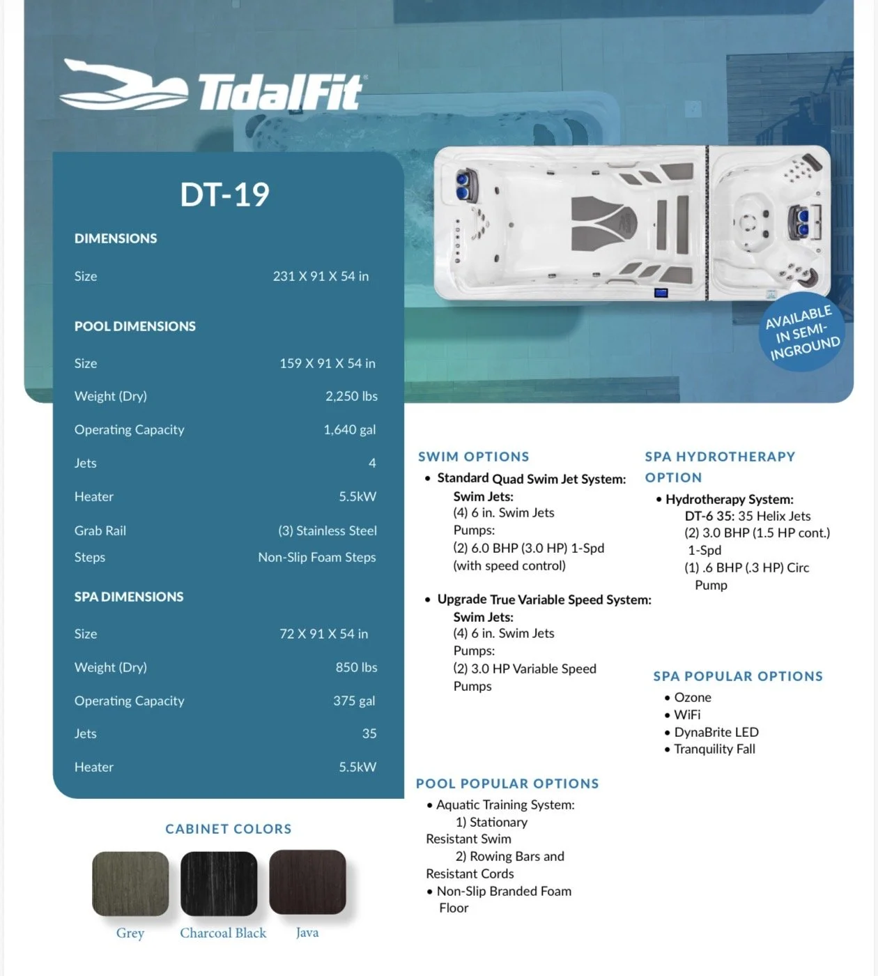 Specification sheet for a TidalFit DT-19 hot tub, showing dimensions, pool and spa sizes, features, swim options, spa options, and cabinet colors.