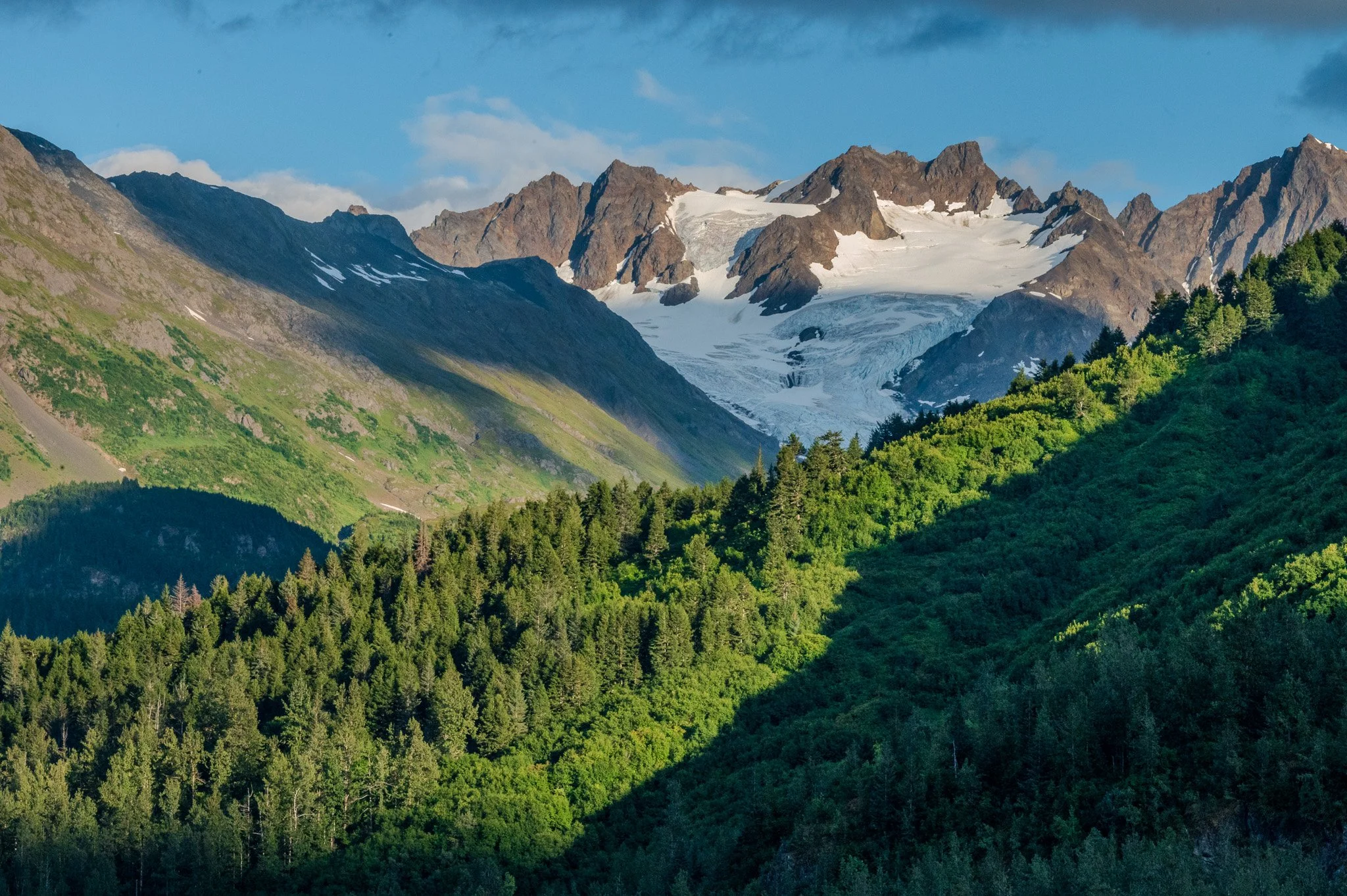 A landscape of green forested hills with snow-capped mountains and glacier in the distance under a partly cloudy sky.