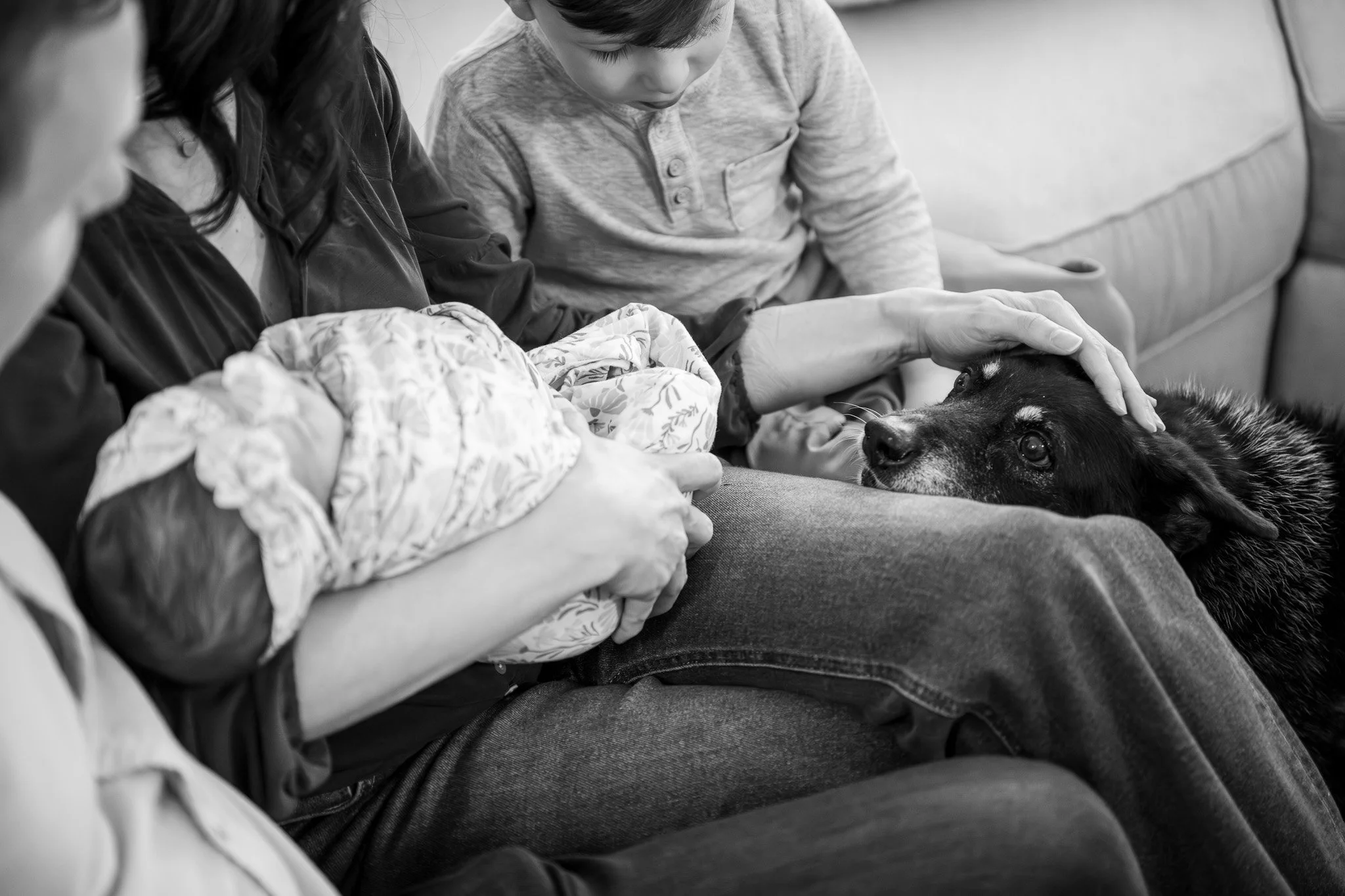 A woman and a young boy are sitting on a couch with a large dog. The woman is petting the dog's head while the boy looks on.