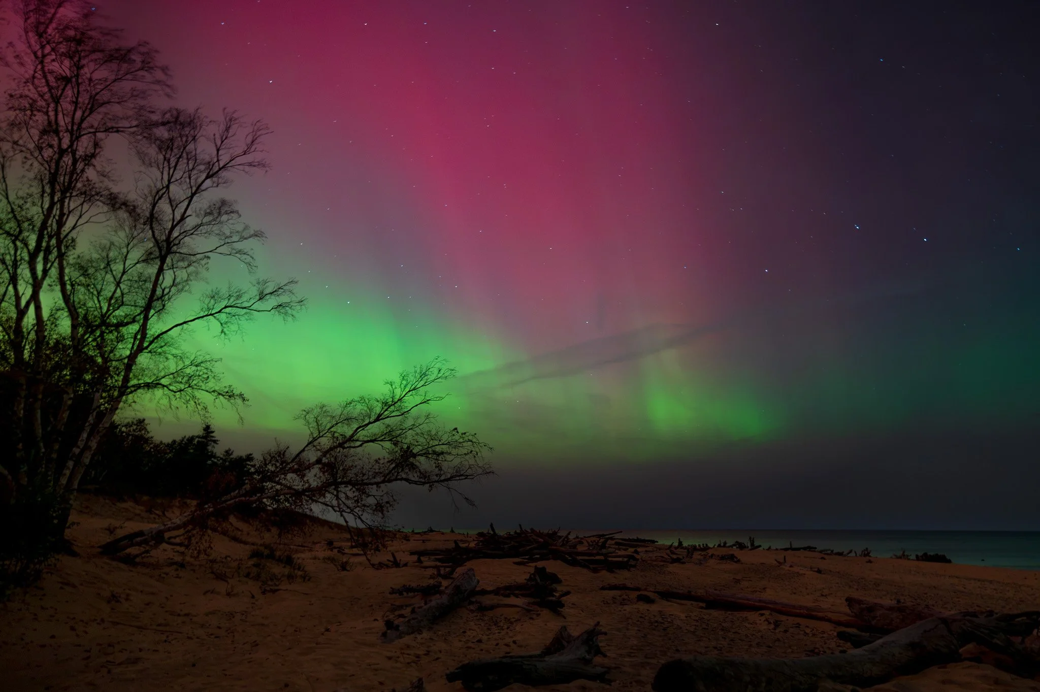 Nighttime scene of a beach with driftwood and sand, silhouetted trees on the left, and an aurora borealis displaying green and purple lights in the sky, with stars visible.
