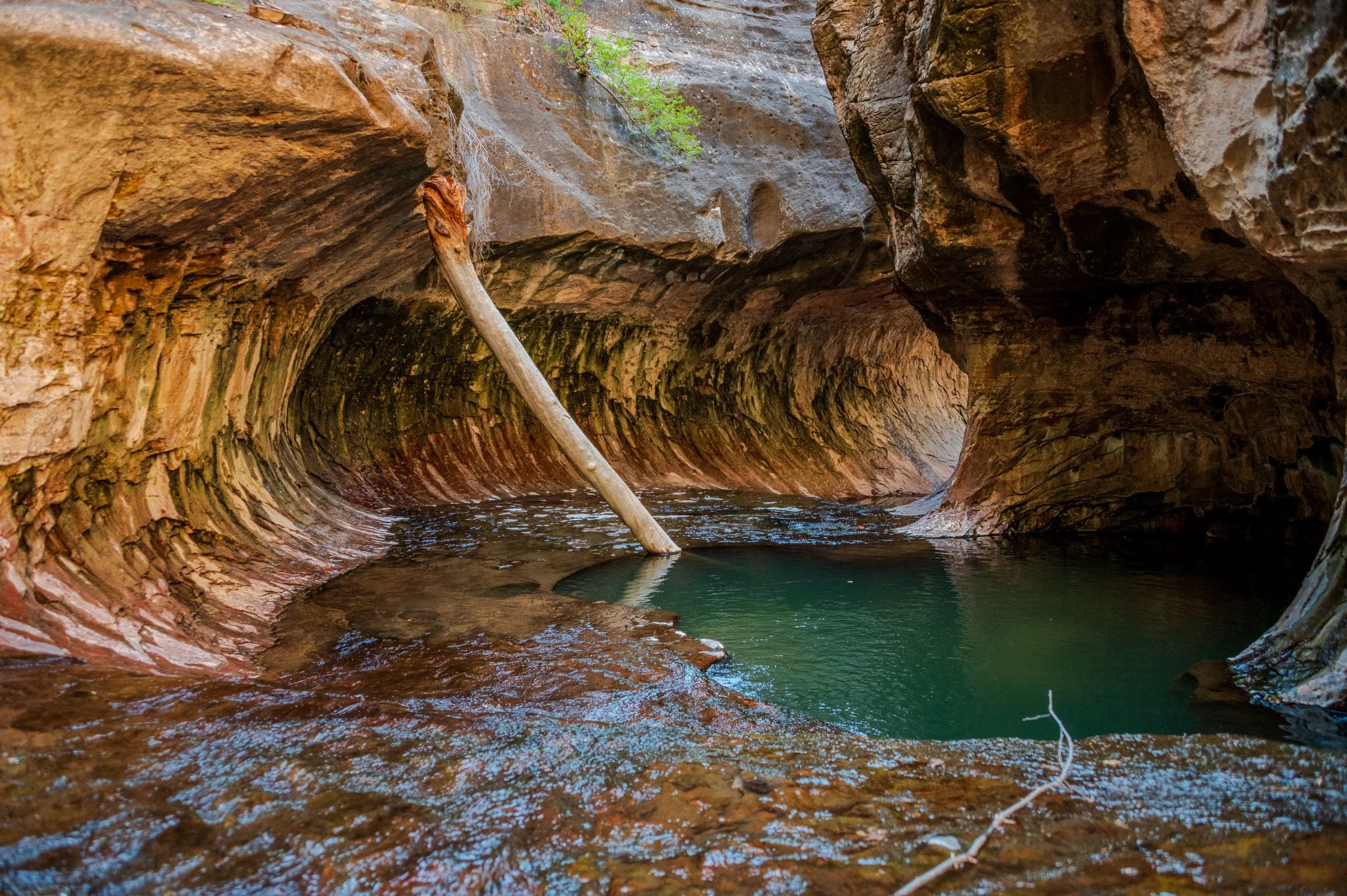 A natural canyon or cave with water flowing through it, carved into red and brown rocks. A wooden stick leans against the side of the canyon, and small green plants grow in crevices. The scene is illuminated softly, emphasizing the textures of the ro