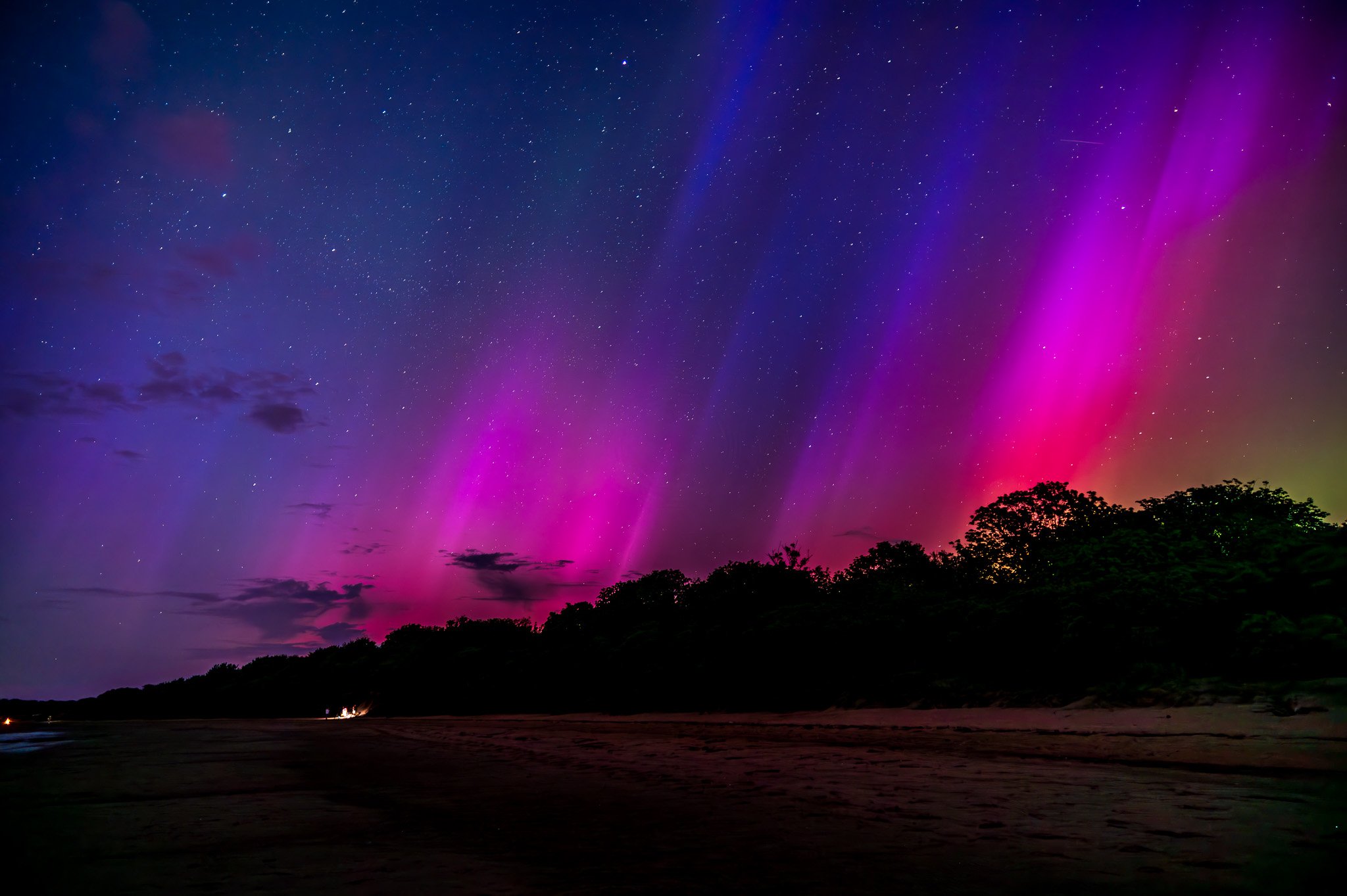 Night sky illuminated with colorful aurora borealis over a silhouette of trees and a dark shoreline.