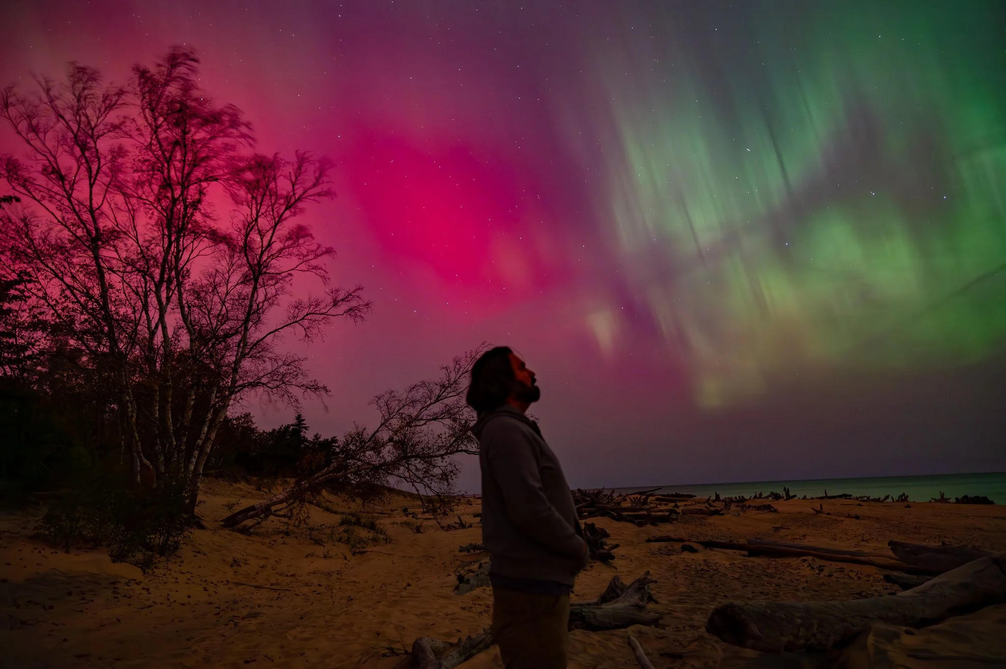 Person standing on a sandy beach at night, looking at the colorful northern lights and starry sky, with trees silhouetted in the background.