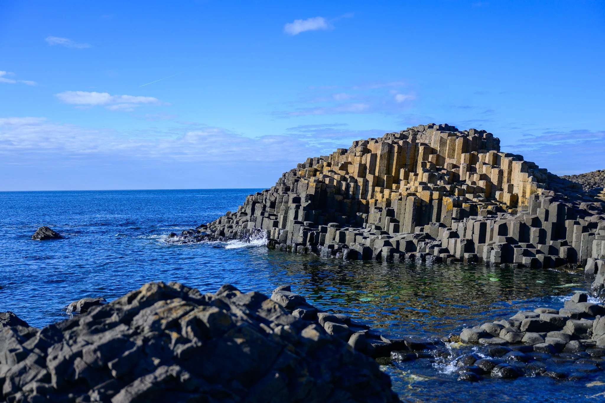 _DSC6654.jpg