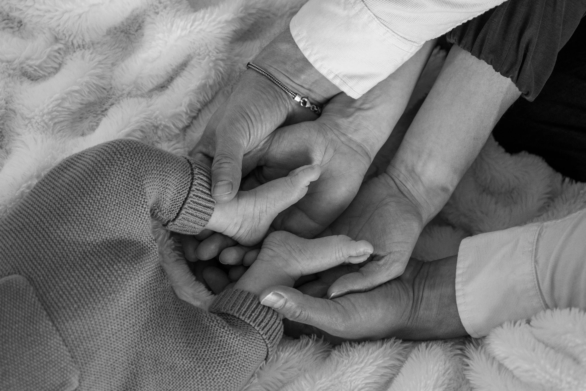 Close-up of multiple hands holding each other, resting on a soft, furry surface.