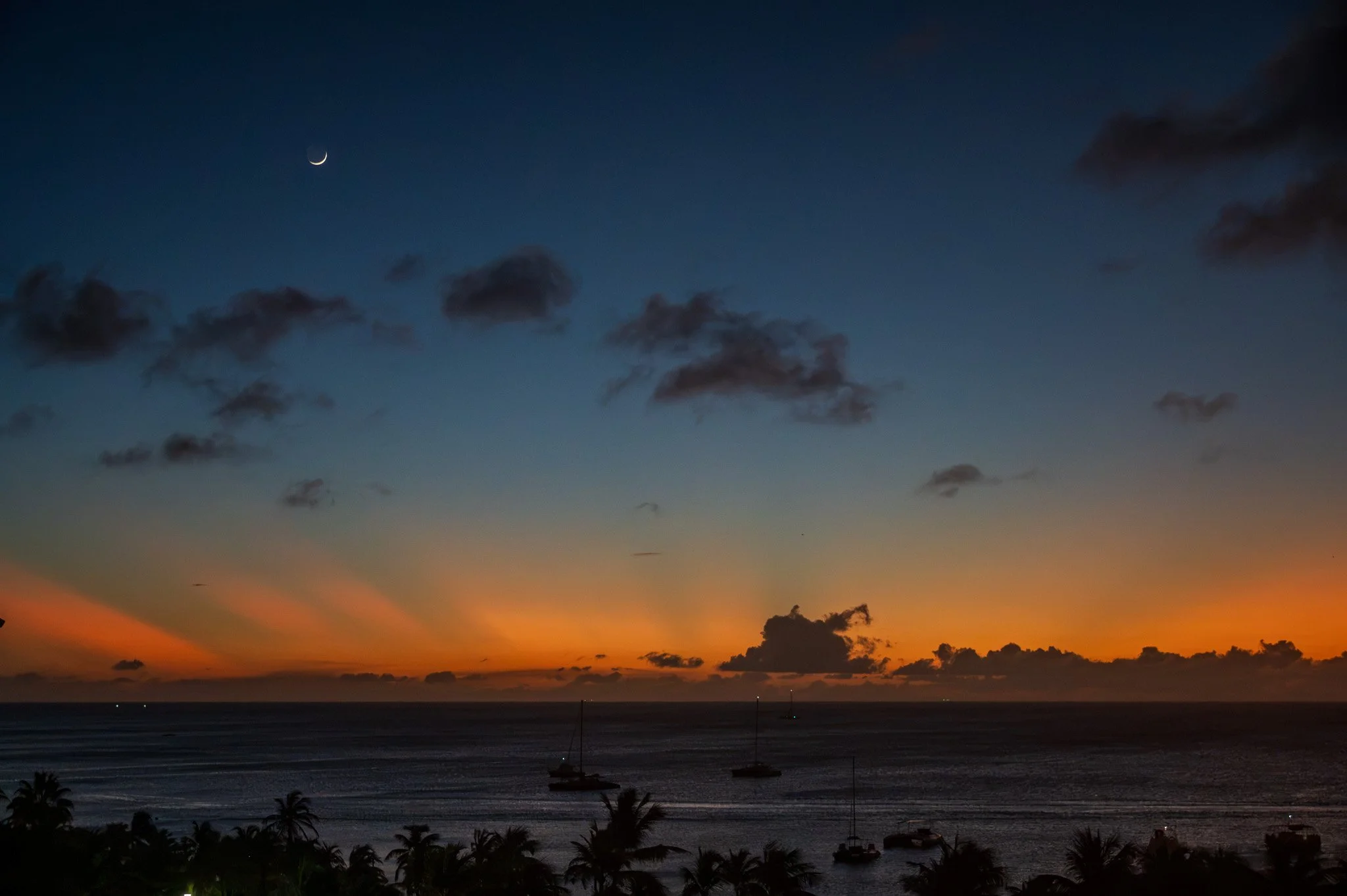 A sunset over the ocean with a gradient sky, scattered clouds, and silhouettes of palm trees and boats.