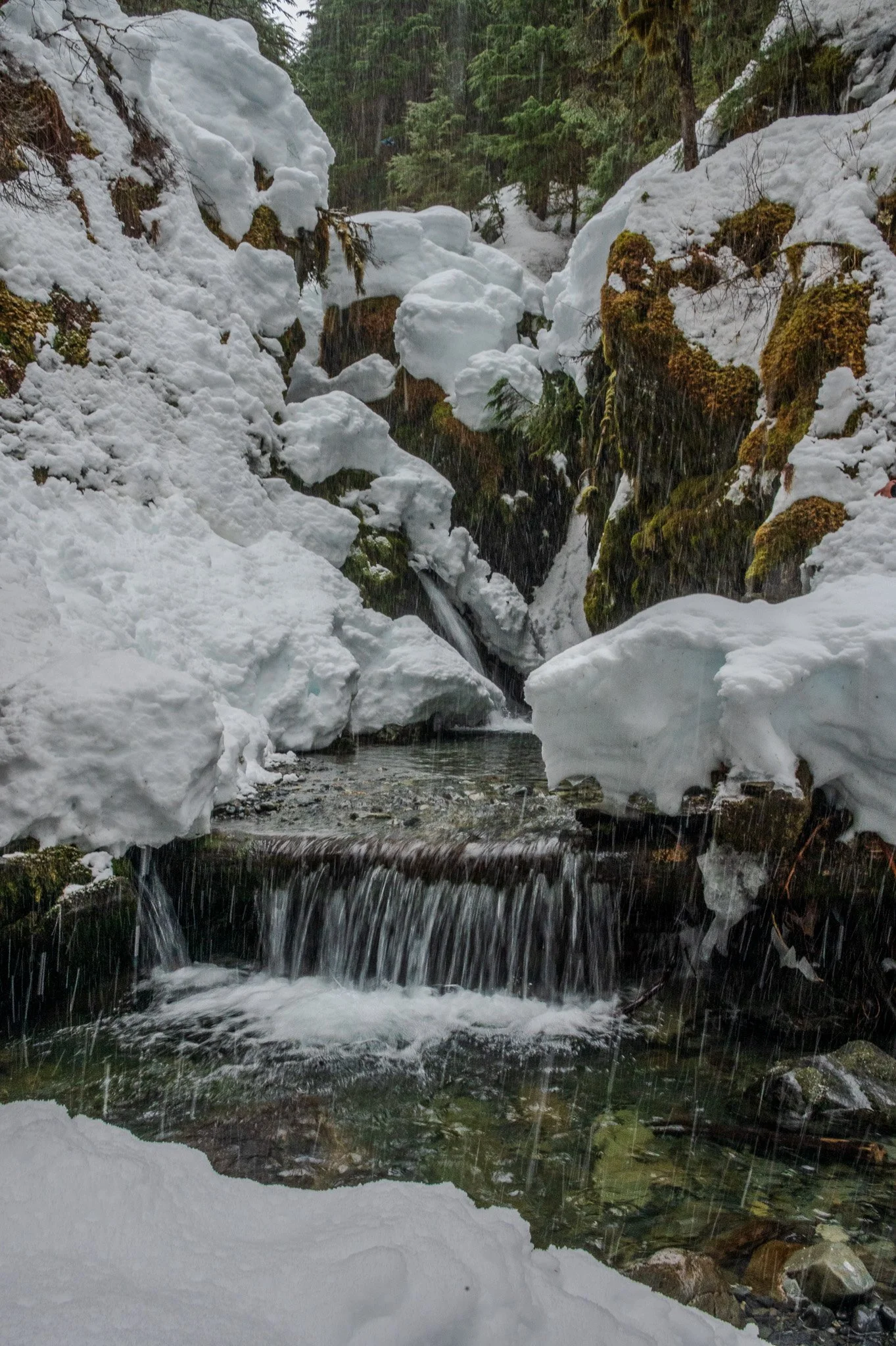 Snow-covered rocks and trees with a small waterfall and stream in a forested area.