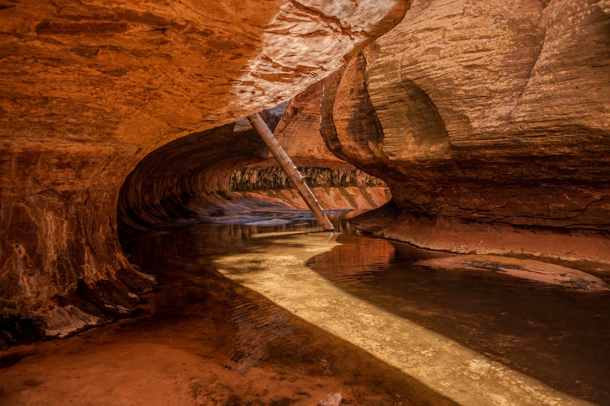A narrow canyon with high reddish-brown rock walls, a small stream of water running through it, and a wooden stick leaning against the rocks.