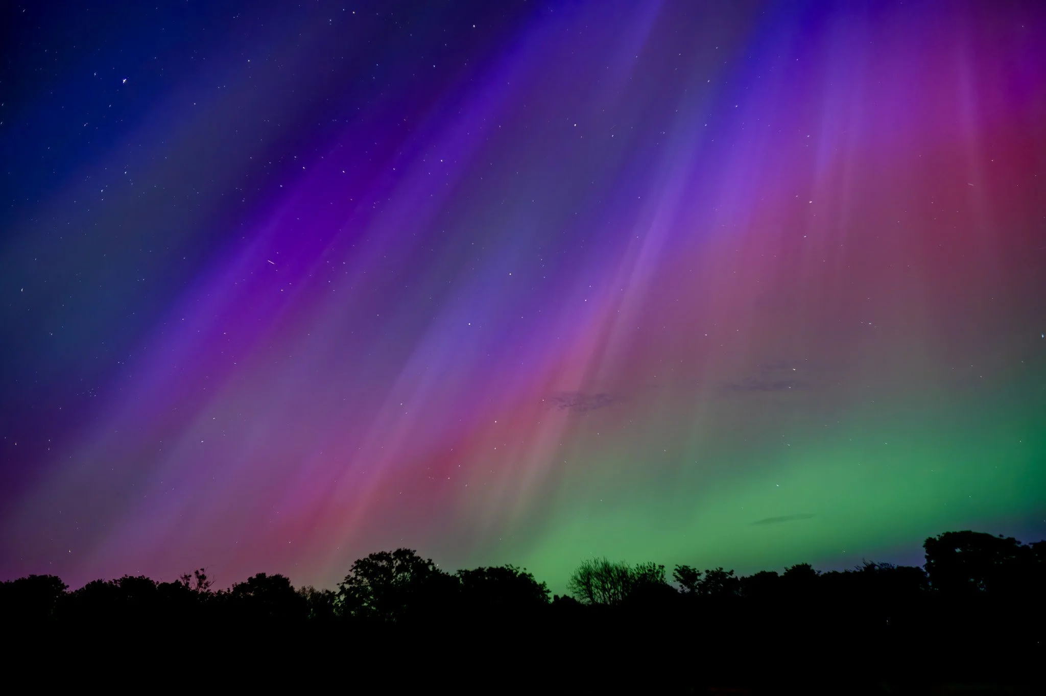 Night sky with colorful aurora borealis, stars, and silhouette of trees at the horizon.