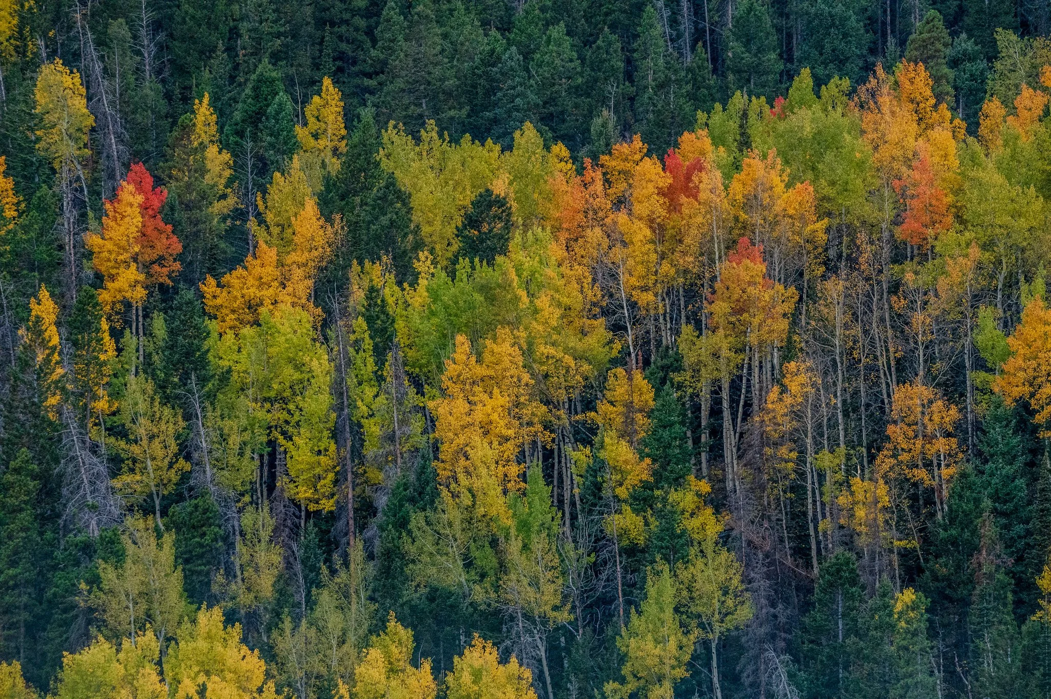 DSC_5416 2.jpg