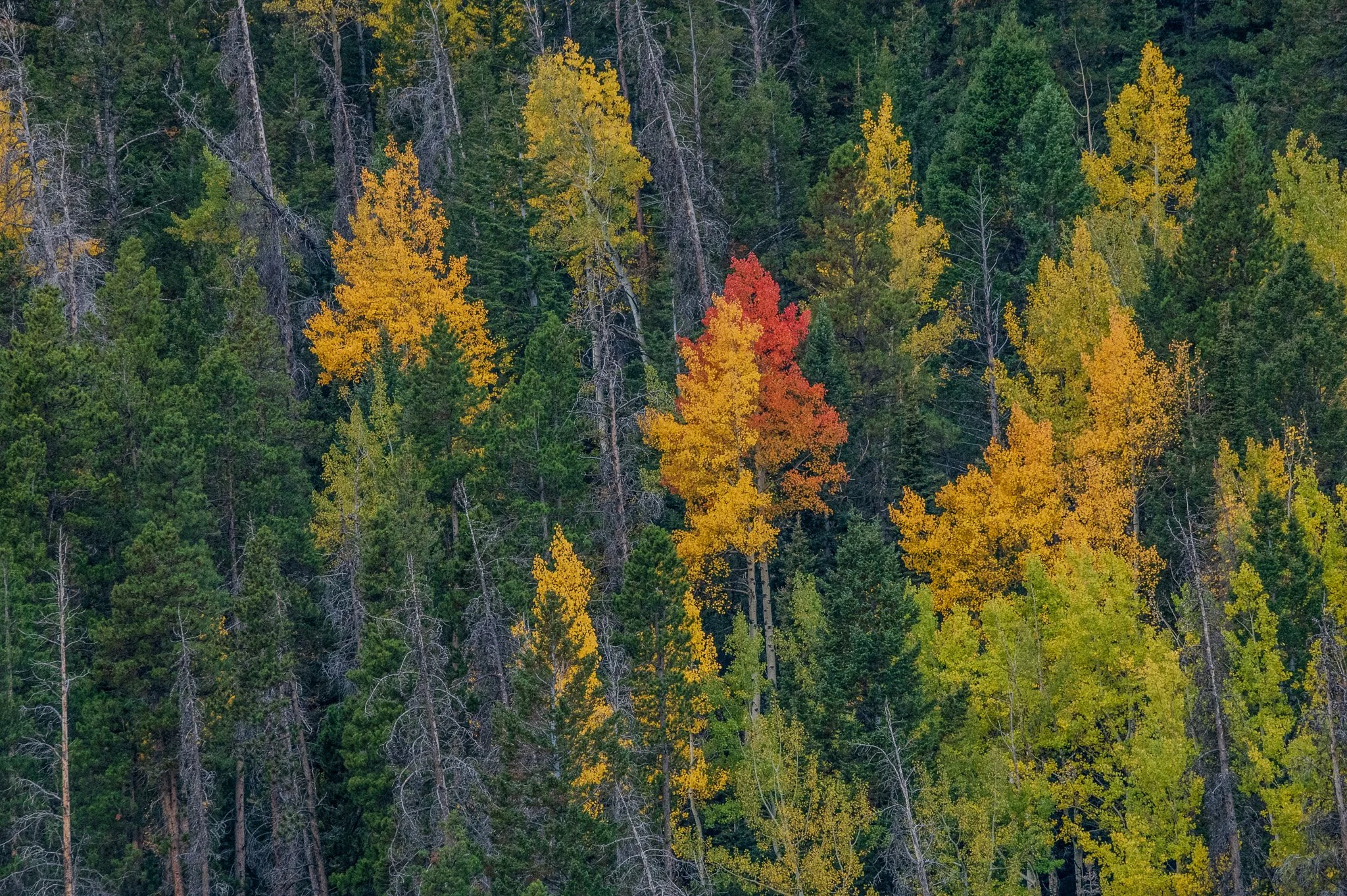 DSC_5420 2.jpg