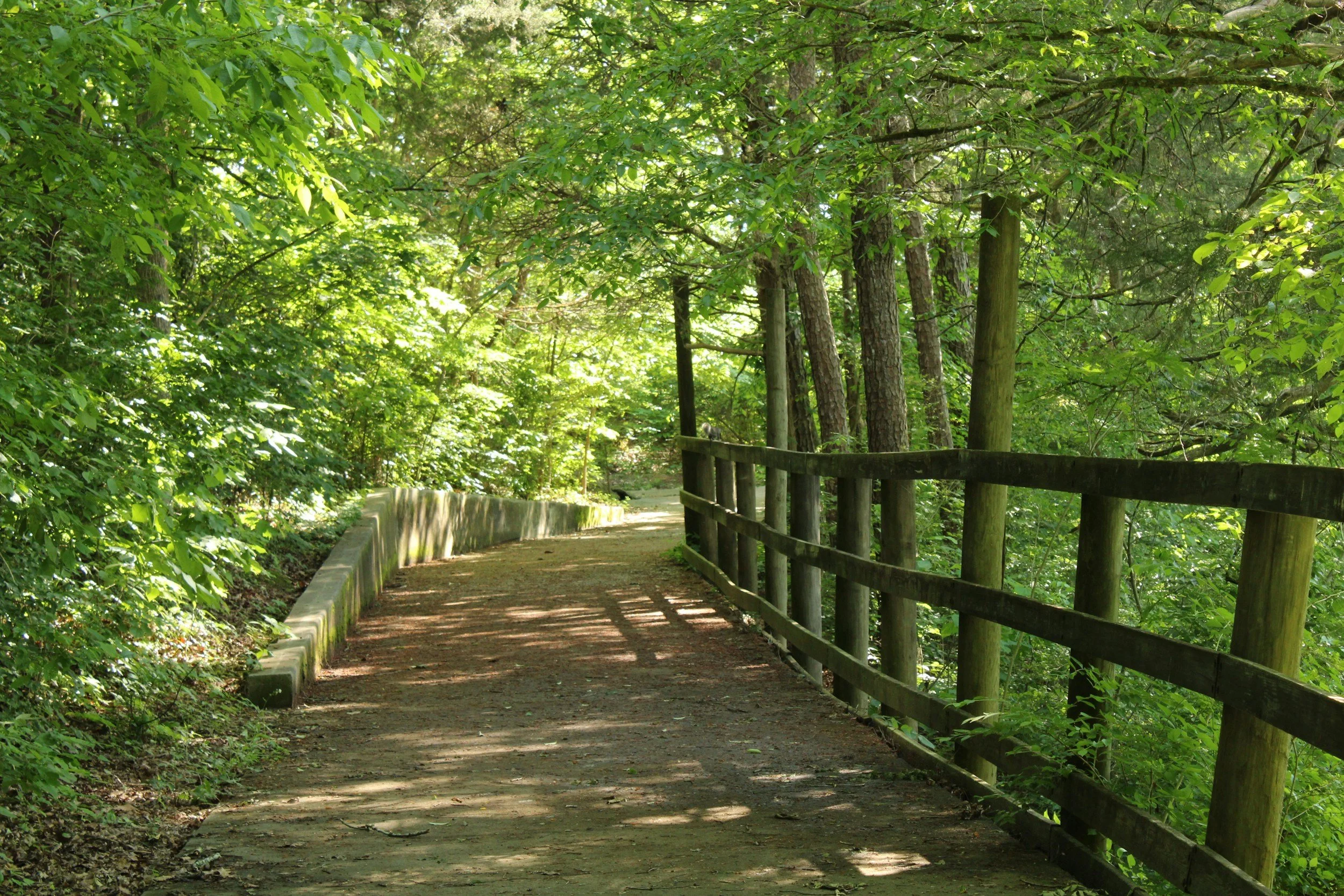 A dirt pathway winding through a lush green forest with trees and foliage on both sides, and a wooden railing on the right side.