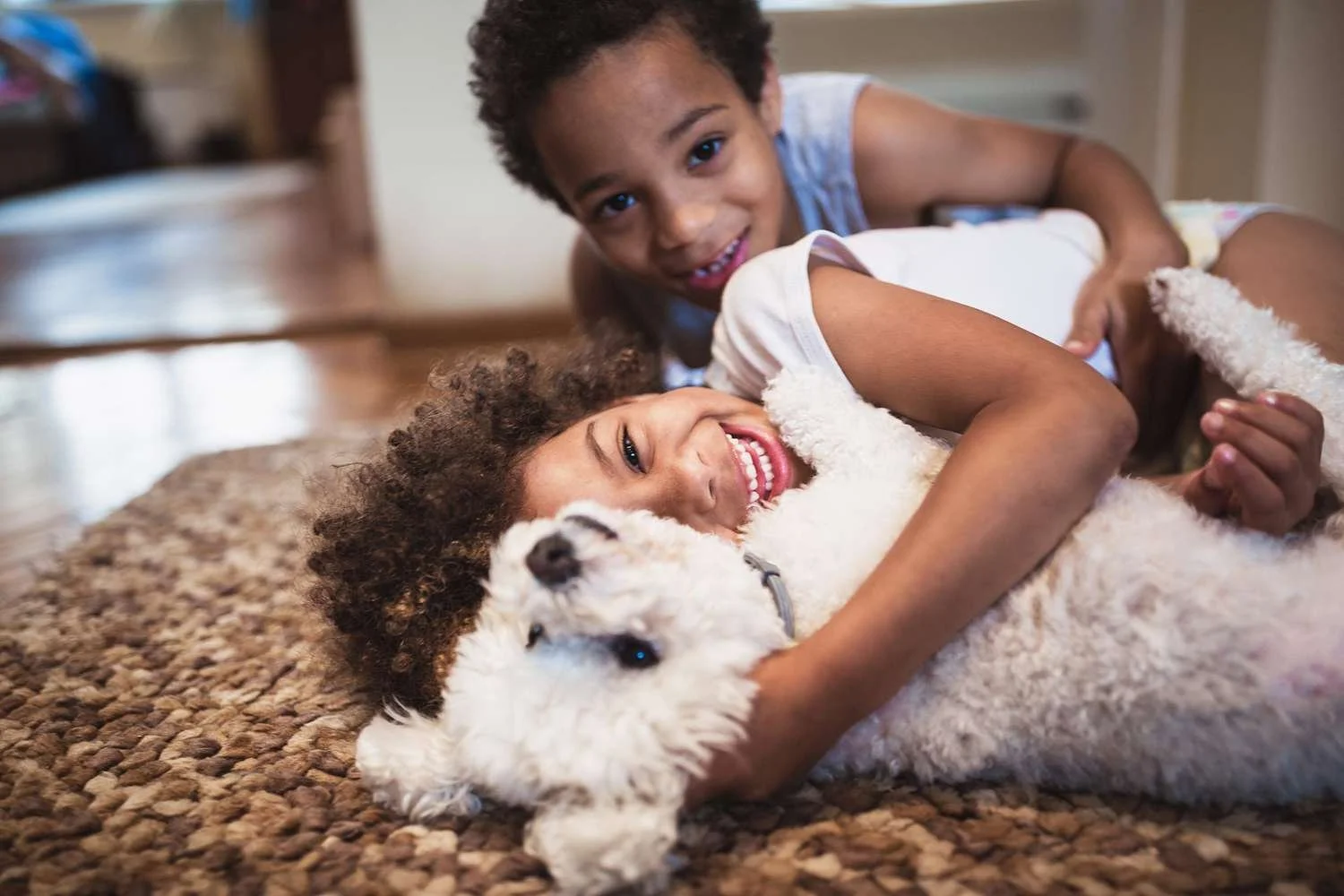 Two children with curly hair playing and hugging a white fluffy dog on a brown carpet in a cozy home.