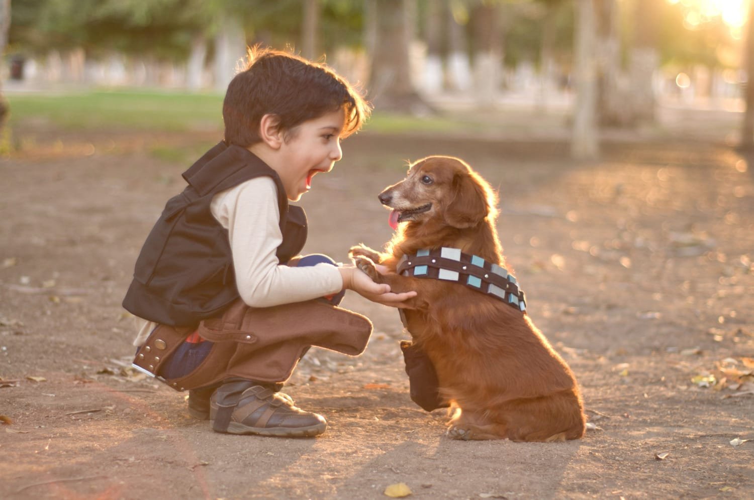 A young boy crouches down, smiling and holding a dog's paws in his hands during sunset at a park.