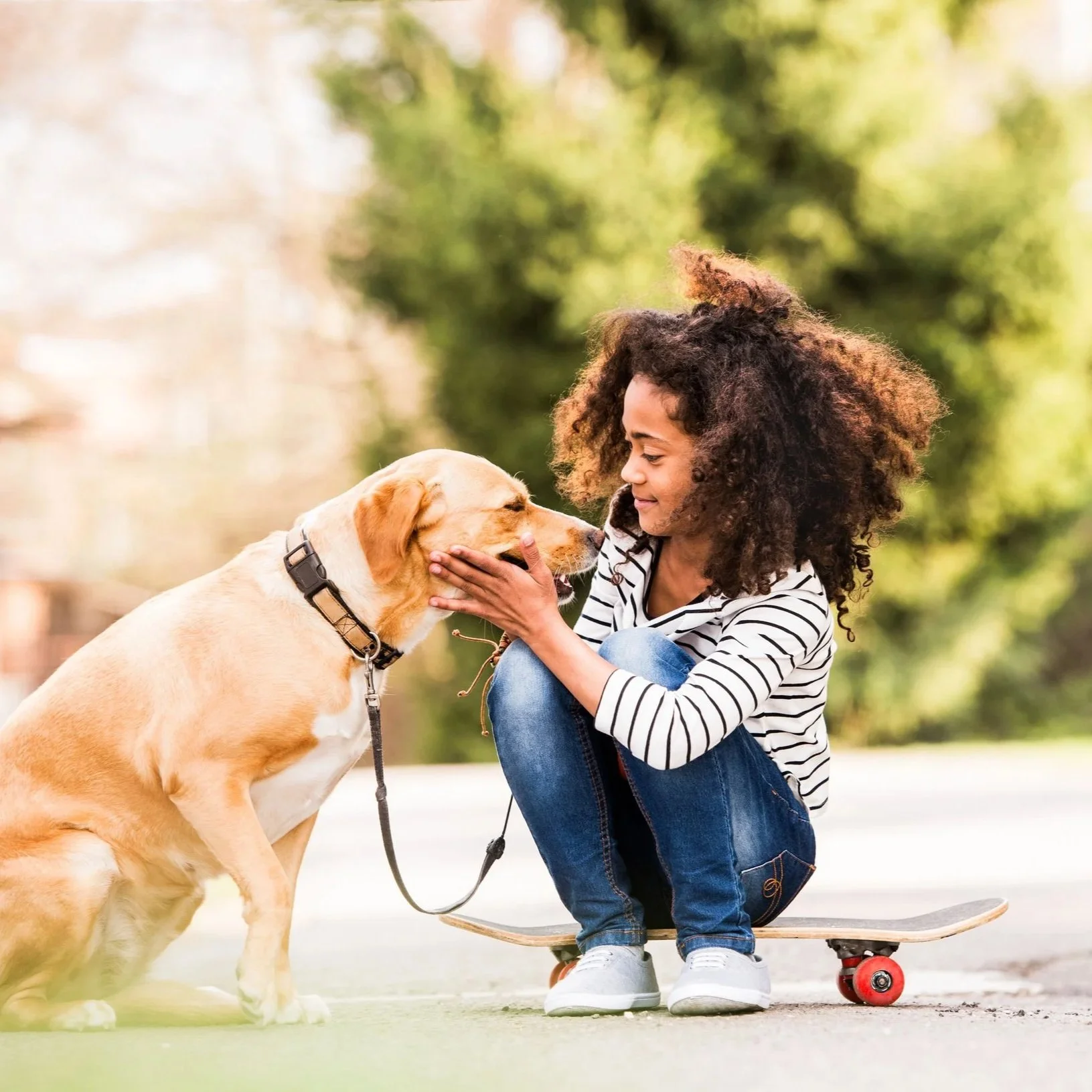 A young girl with curly hair kneeling on a skateboard, petting a yellow Labrador dog outdoors in a park with trees in the background.