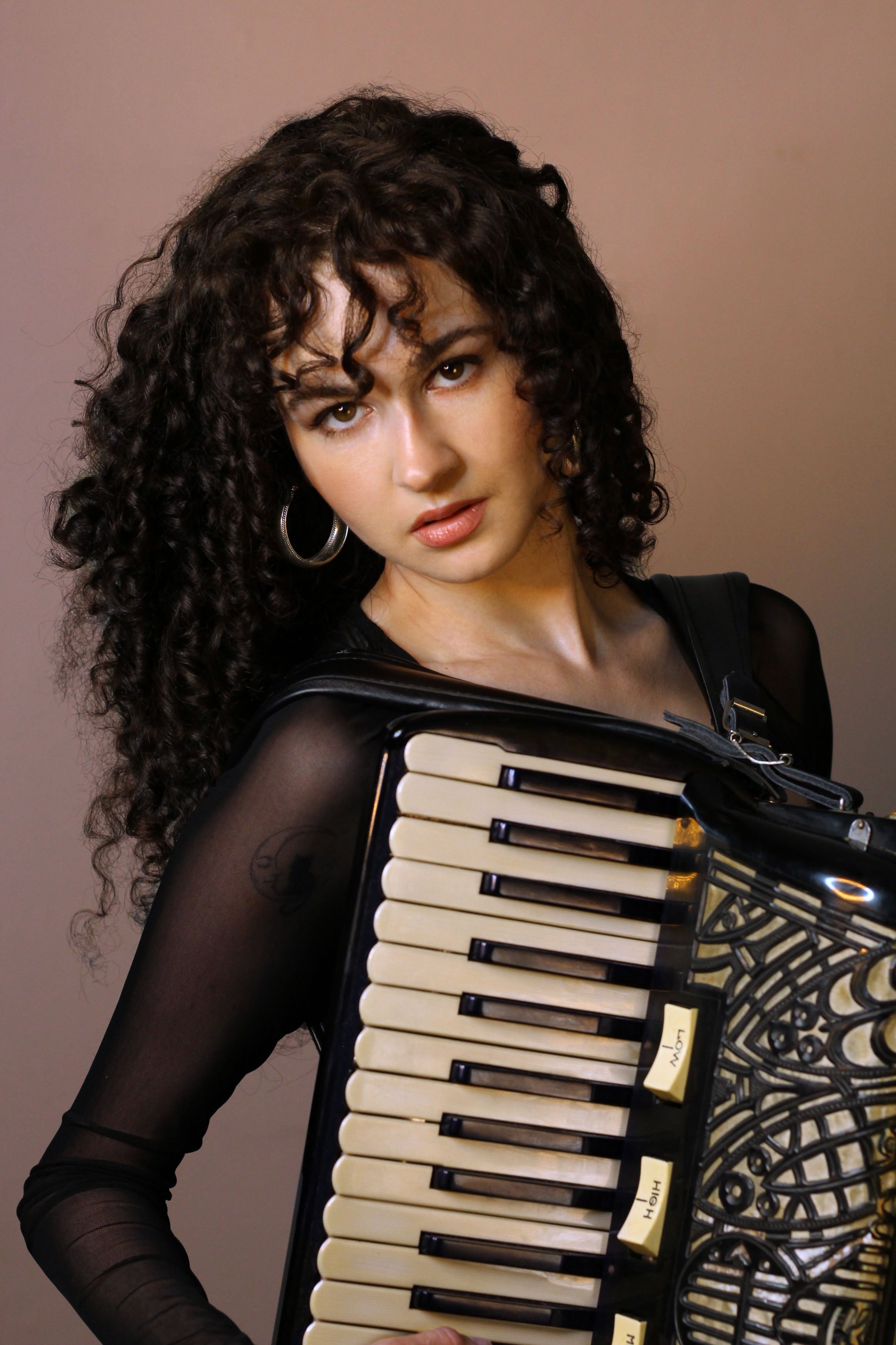 Accordion4PEACHBG.jpg
