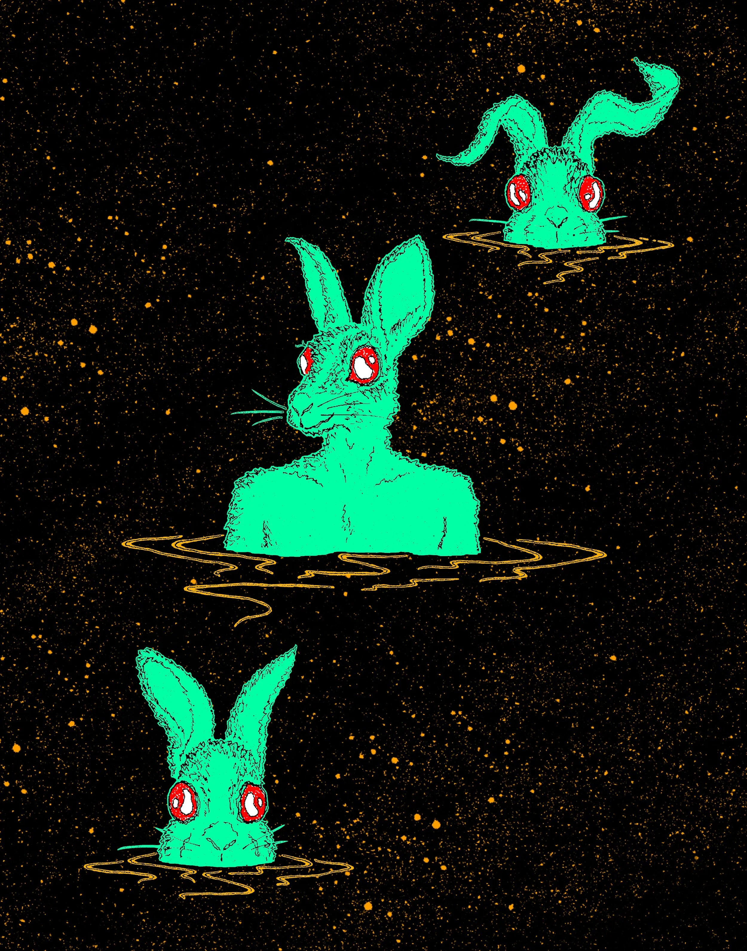 RABBIT SWIMMER 2.JPG