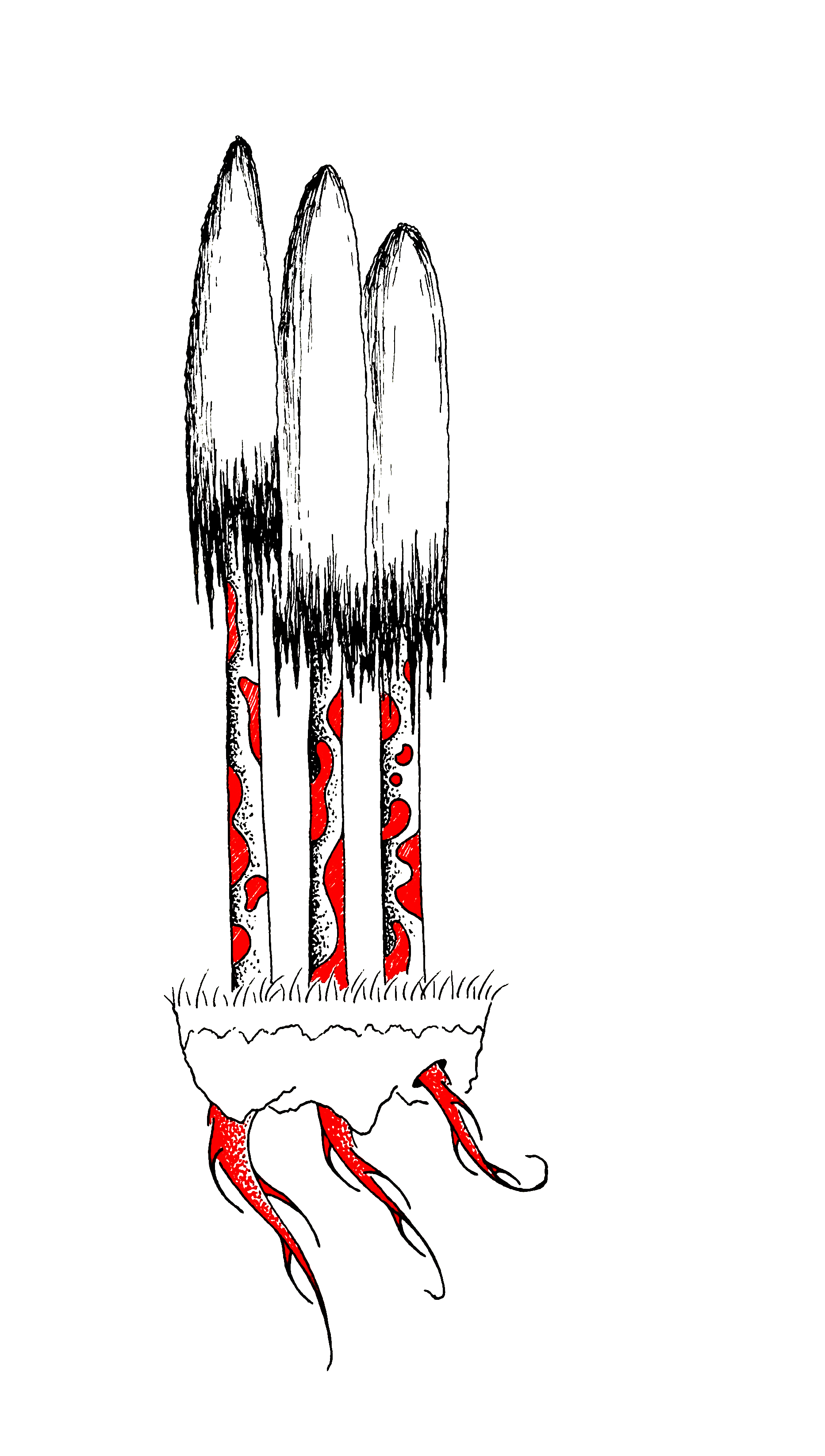 Lava Lamp Tree Island.png