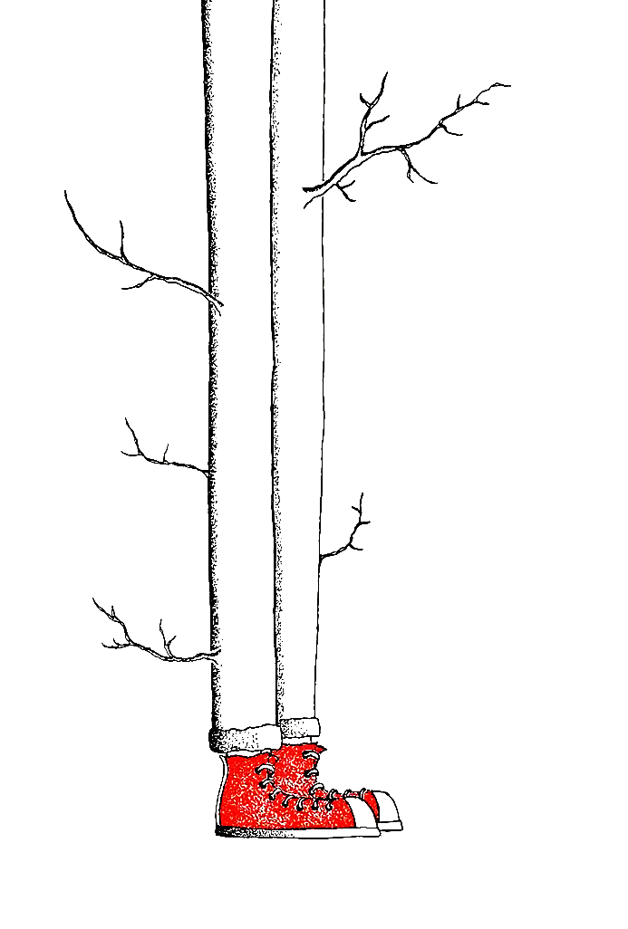 TreeLegs.png