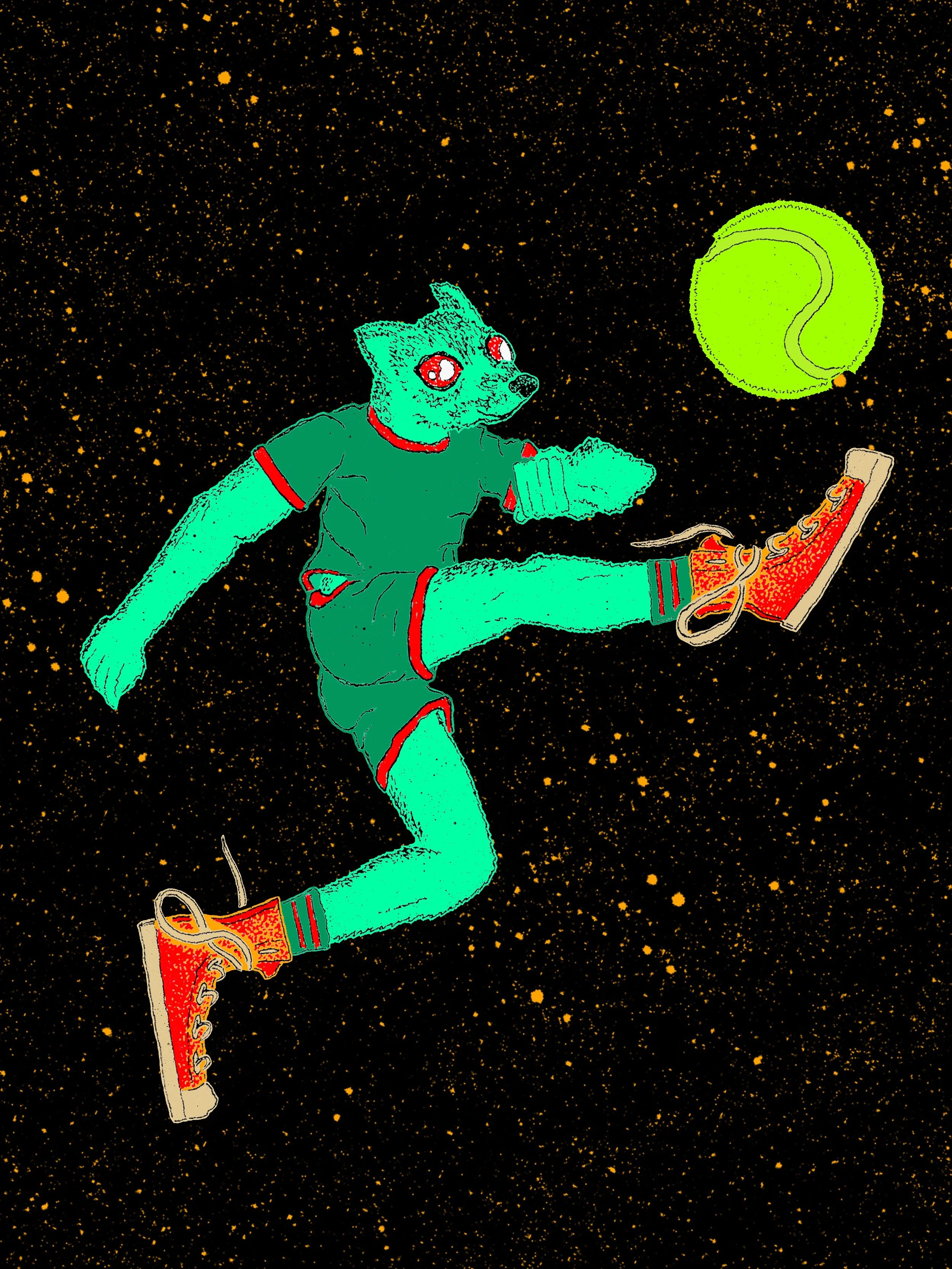 FOX TENNIS BALL.JPG