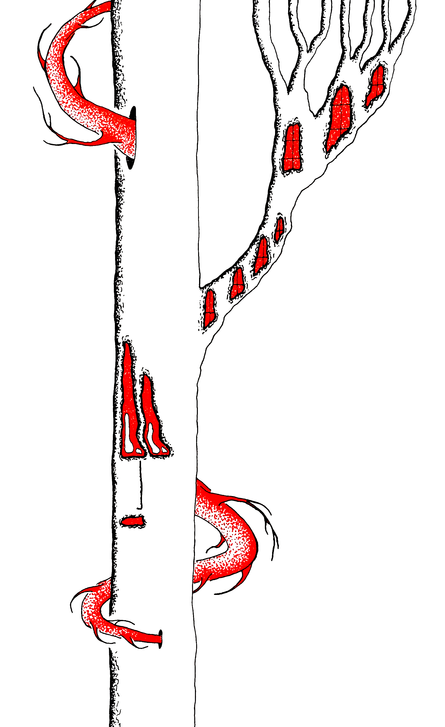 Treehouse.png