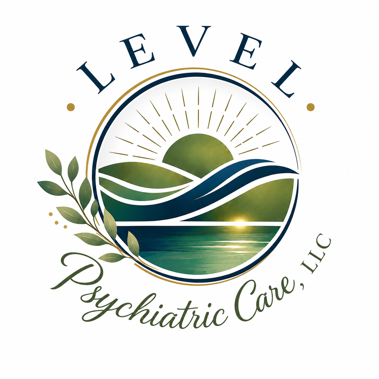 Level Psychiatric Care, LLC