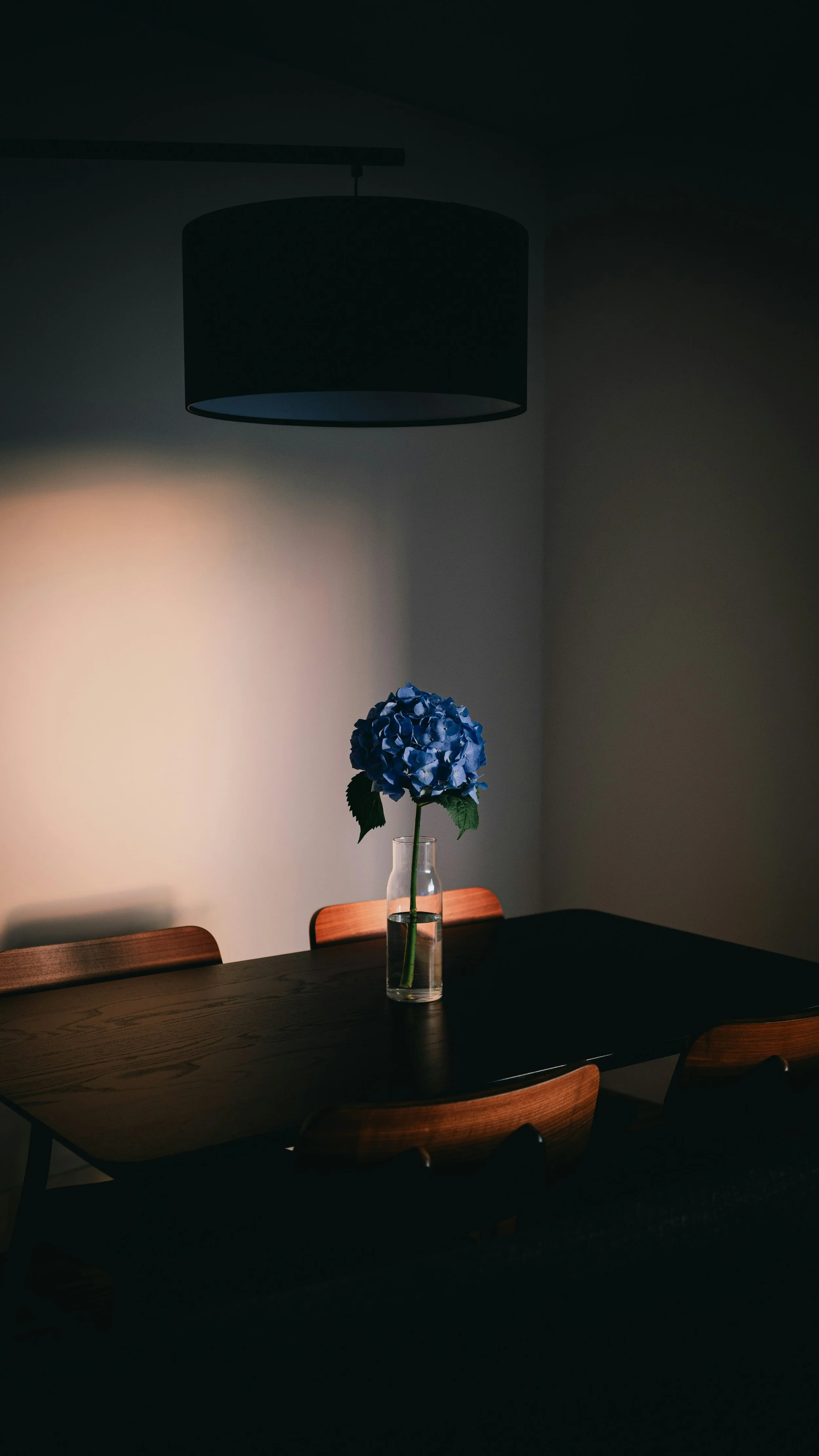 A wooden dining table with a single blue hydrangea flower in a clear glass vase, under a black ceiling light in a dimly lit room.