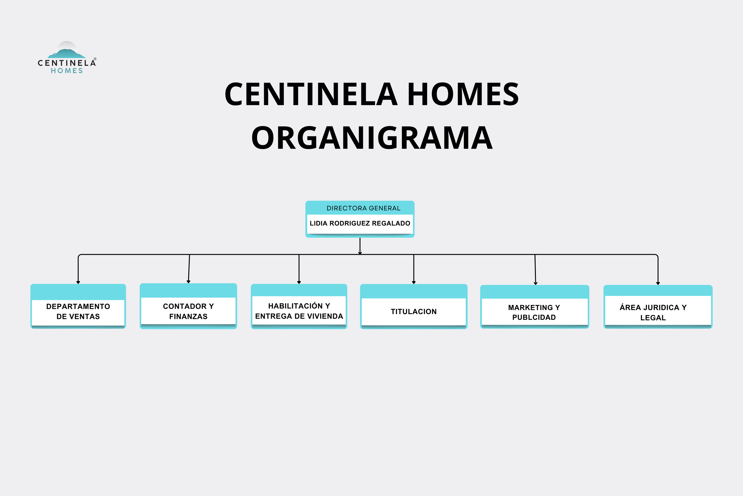 Organigrama de Centinelá Homes con logotipo en la esquina superior izquierda, título en letras grandes y negras, y estructura organizada en bloques azules y blancos que representan diferentes departamentos y roles, incluyendo directora general y áreas específicas.