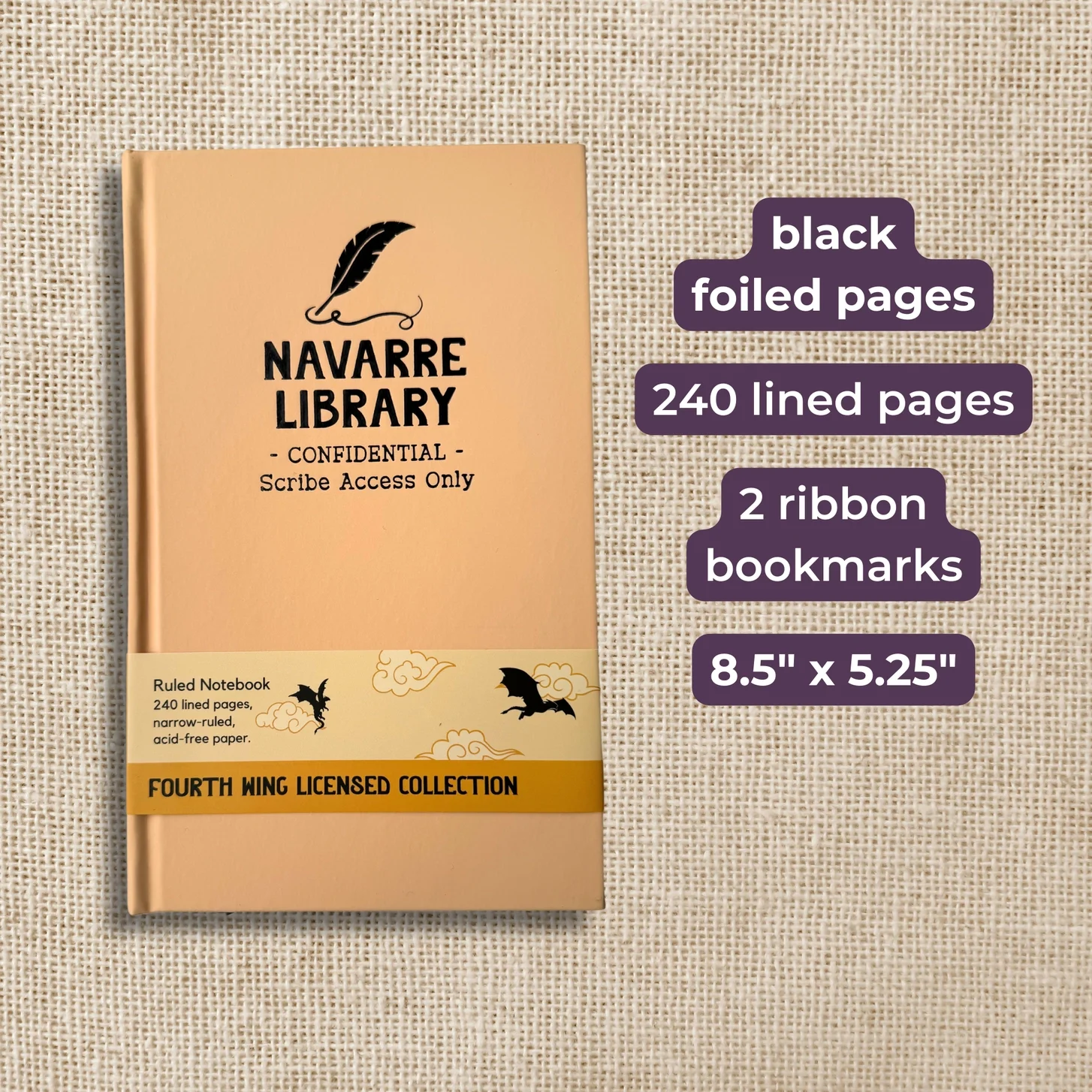 NavarreJournal3.webp