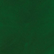 Solid green background