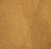 Close-up of a golden-brown textured surface.