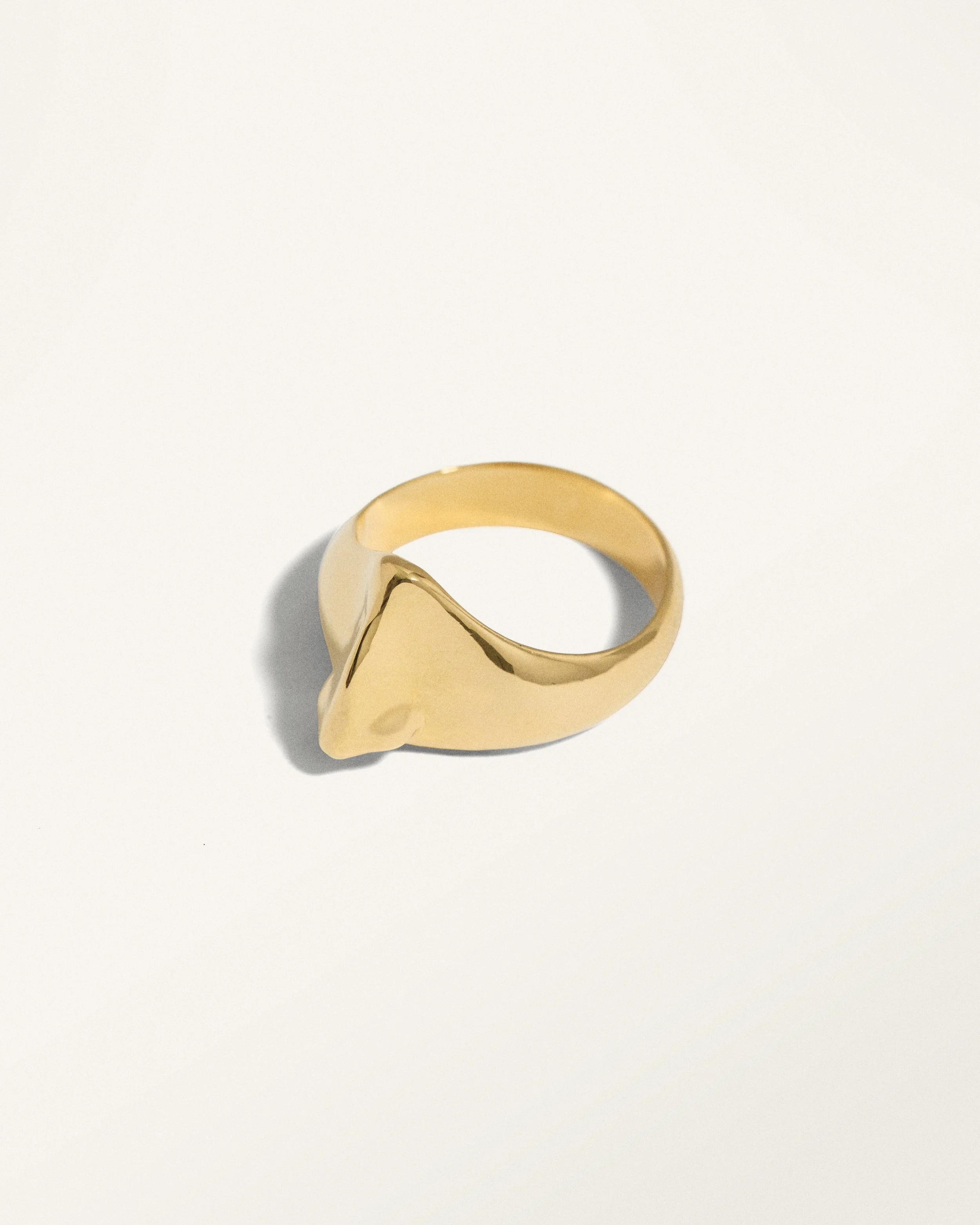Tagtraum_Nose-ring_a_gold.jpg