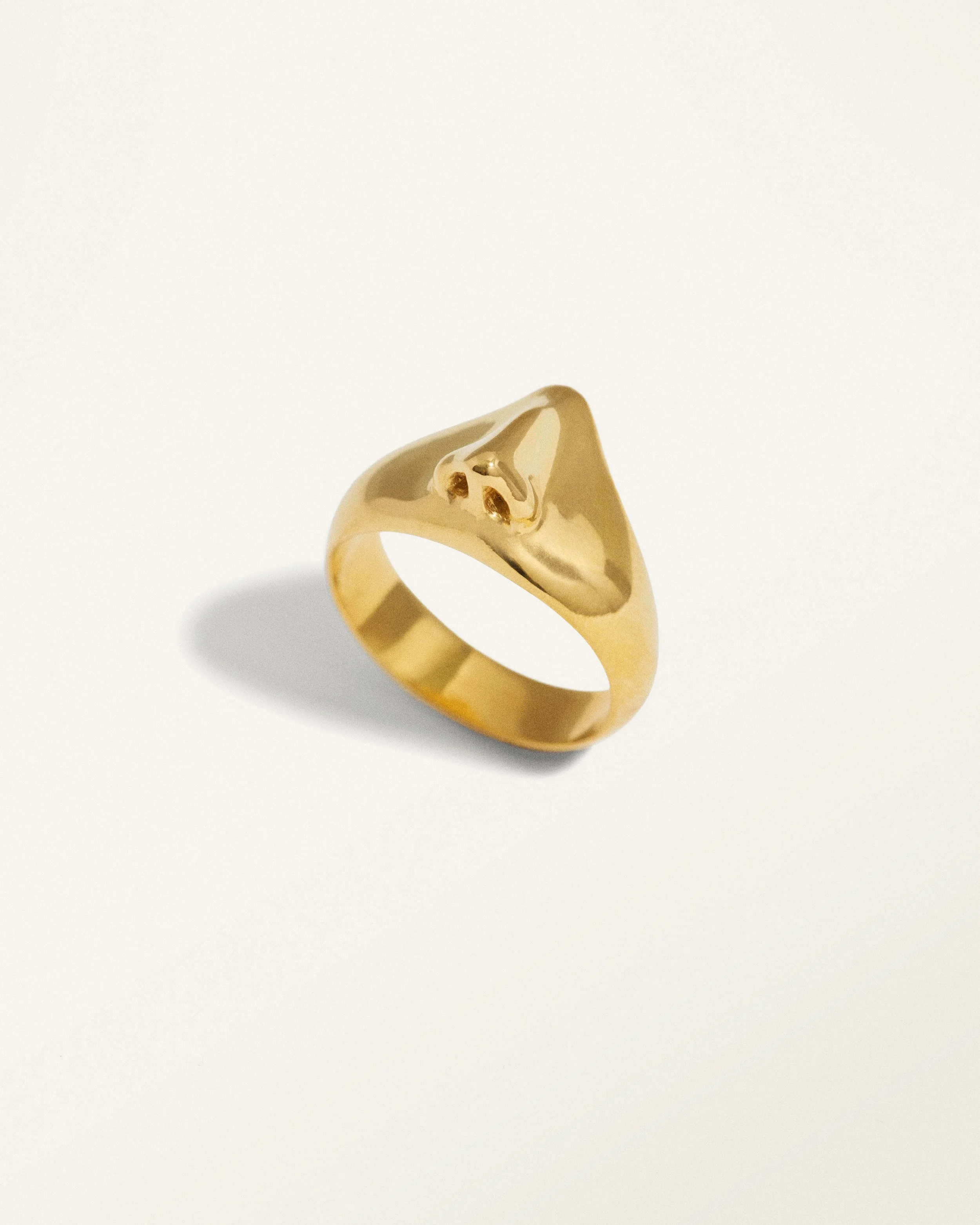 Tagtraum_Nose-ring_c_gold.jpg