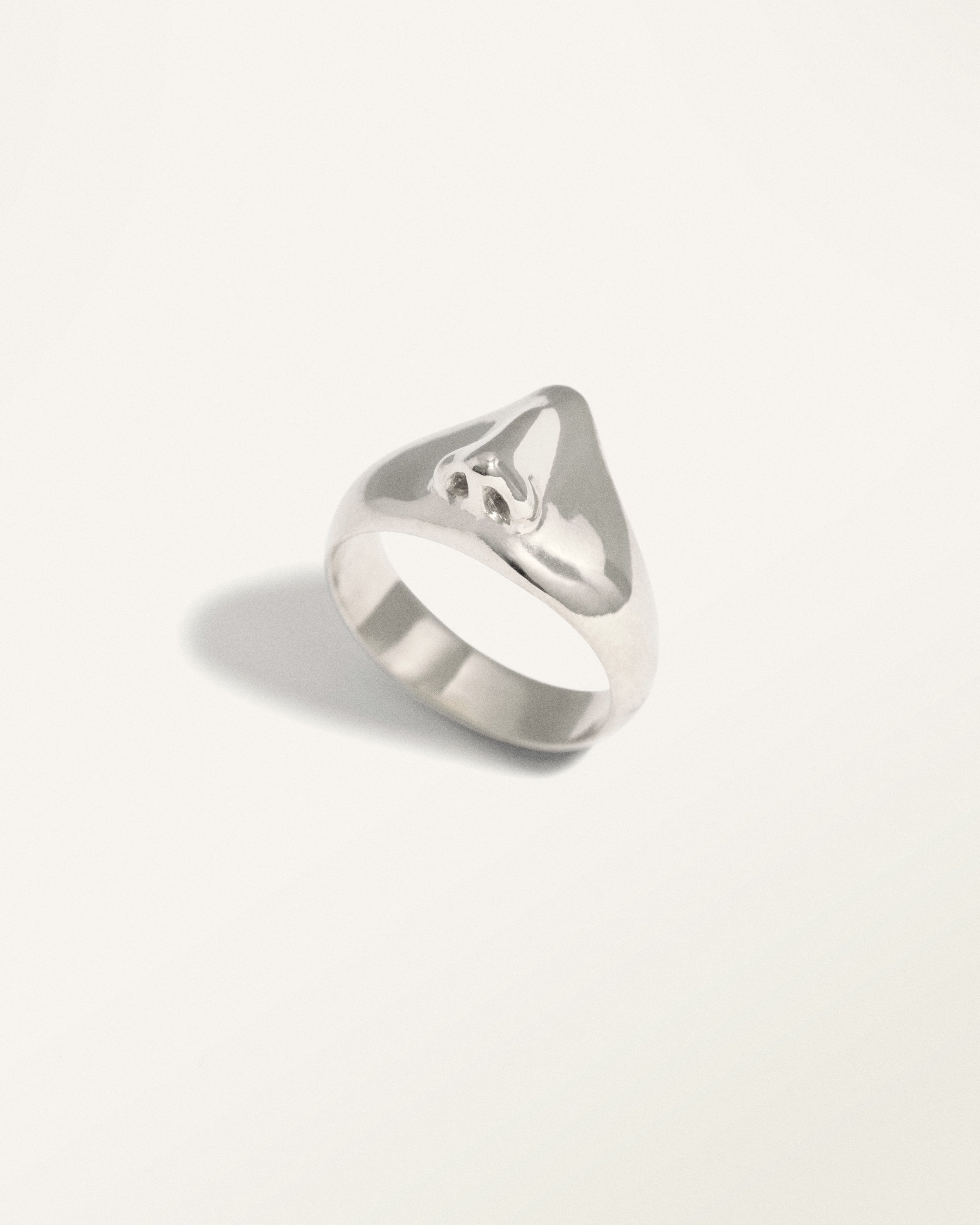 On the Nose (Silver)