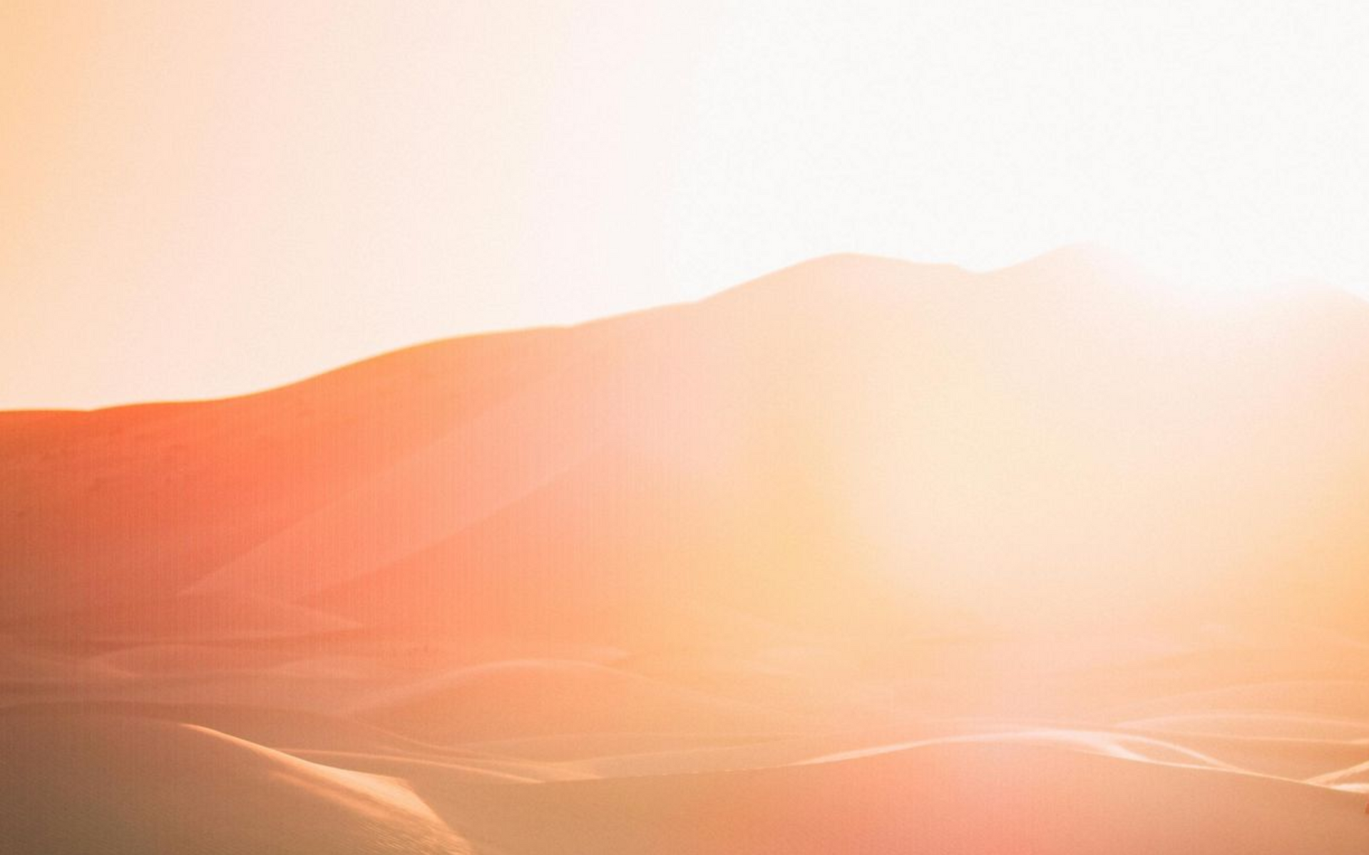 When Love Doesn't End By Choice: Dating After Loss