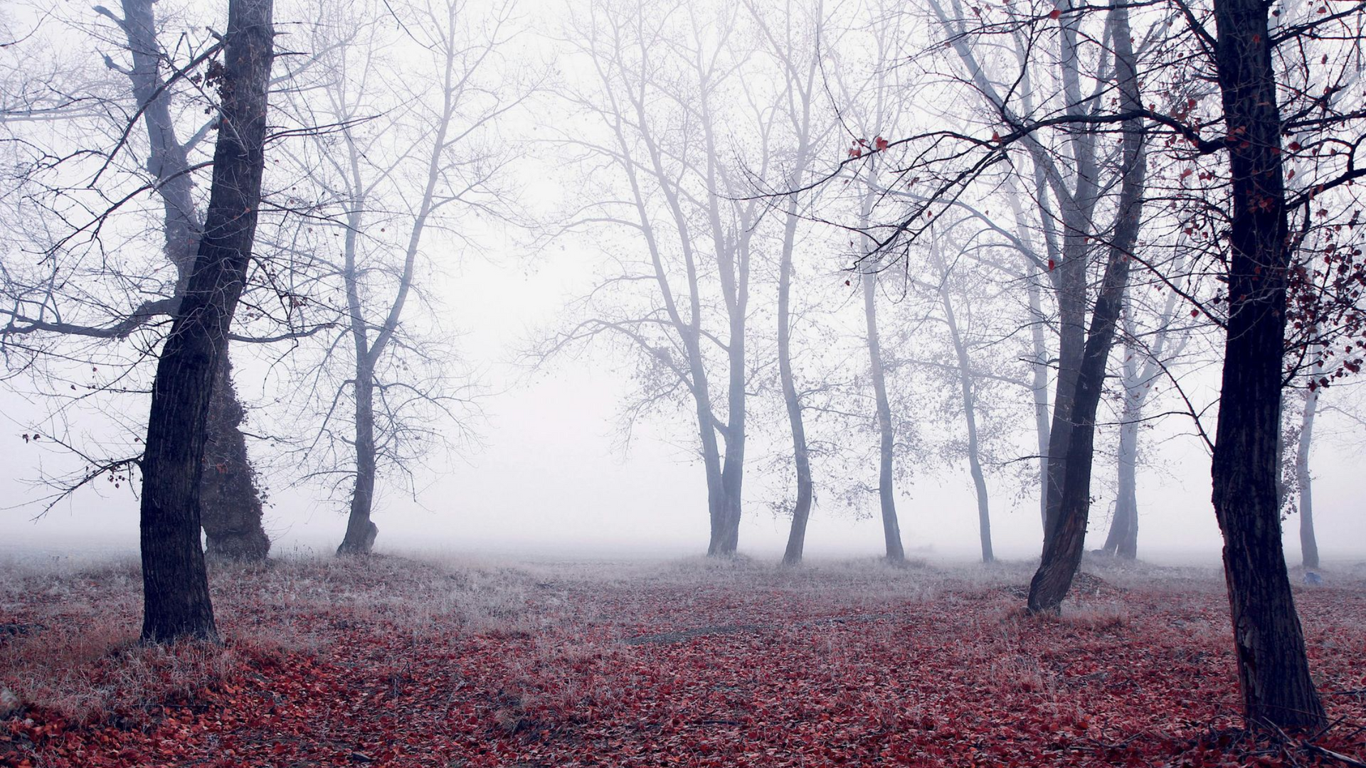 Feeling Stuck in Life? How Coaching Can Help You Find Clarity and Direction
