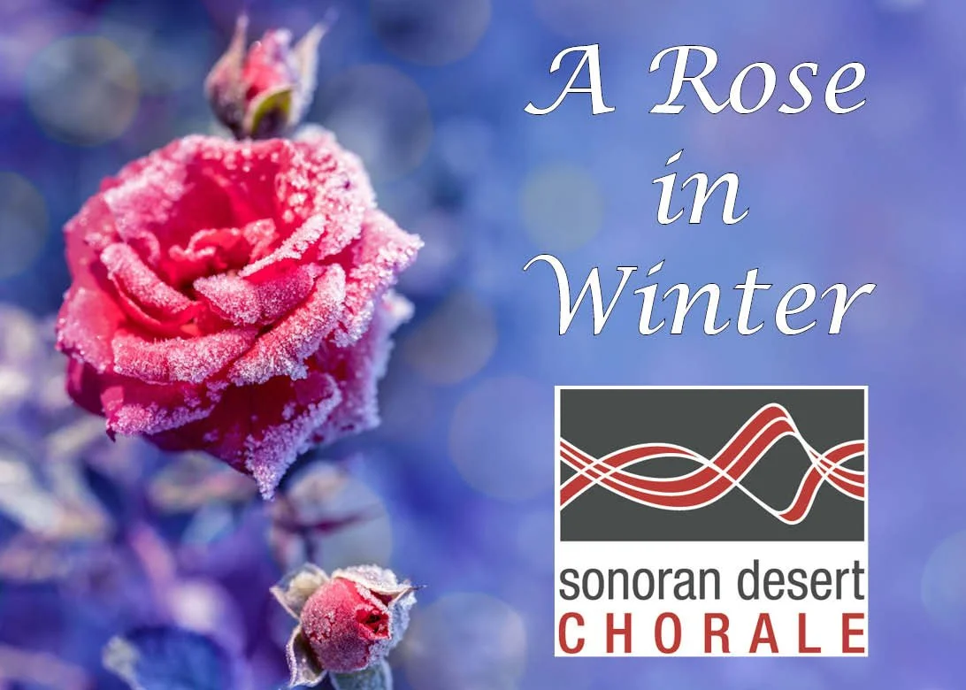 Pink rose covered in frost with a blurred blue background and the text "A Rose in Winter." The Sonoran Desert Chorale logo is in the bottom right corner.