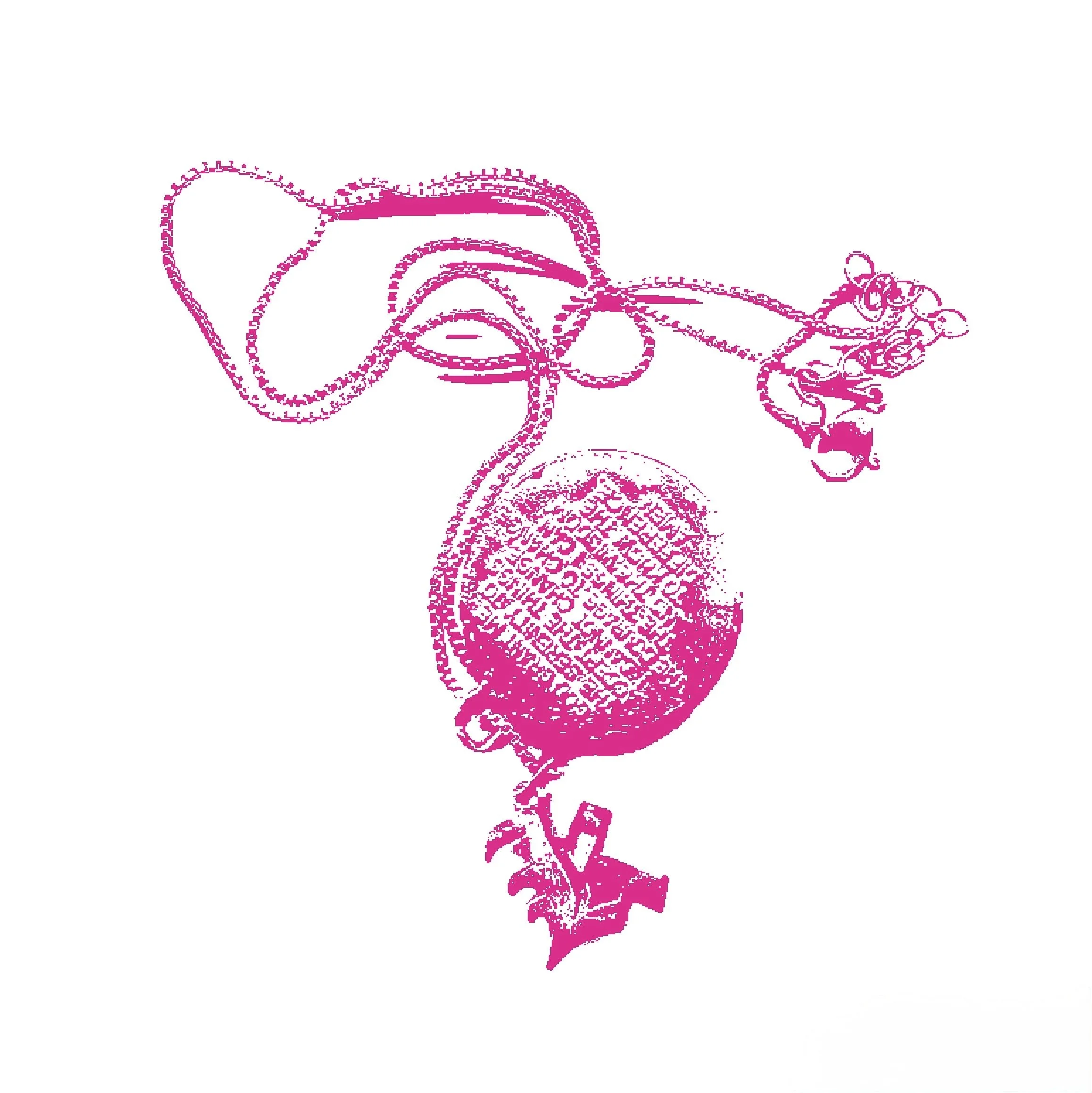 Stylized pink line drawing of a necklace with a text passage and "k" charm on a white background.