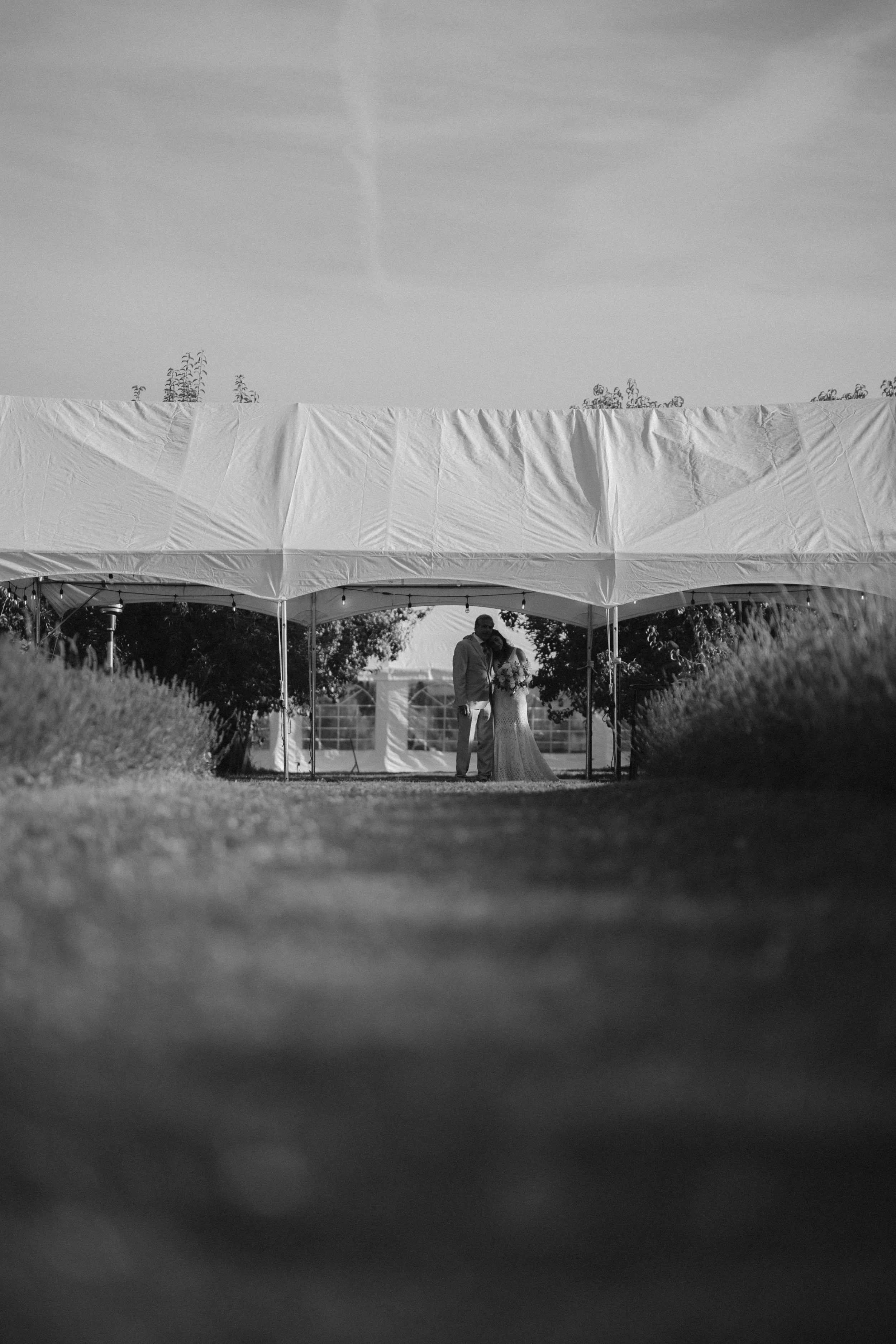 P1034345.jpg
